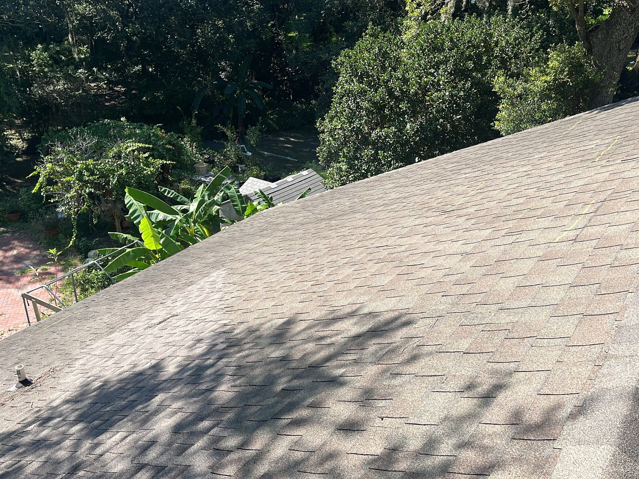 Shingle -> Shingle by Prime Roofing