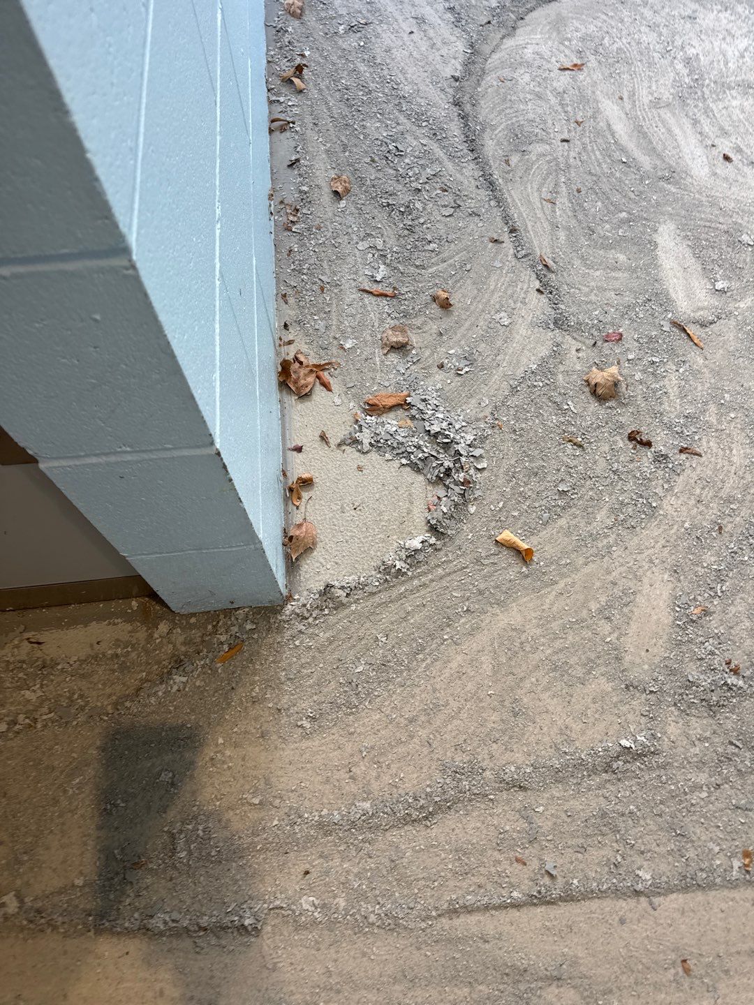 Muni Pool House Project in Crafton  by Floors in a Day, Inc