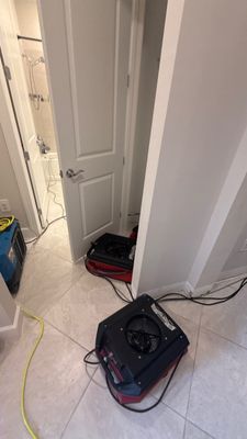 Mold Remediation — Bonita Springs, FL