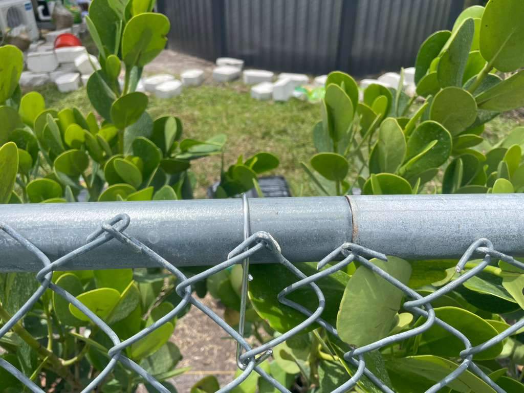 Residential Chain Link Fence Repair and Vinyl Privacy Gate Installation in Naples by True Fence LLC