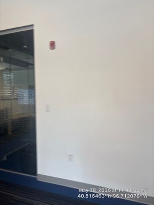 Modern Office Remodel with Acoustic Baffles and Glass Partitions