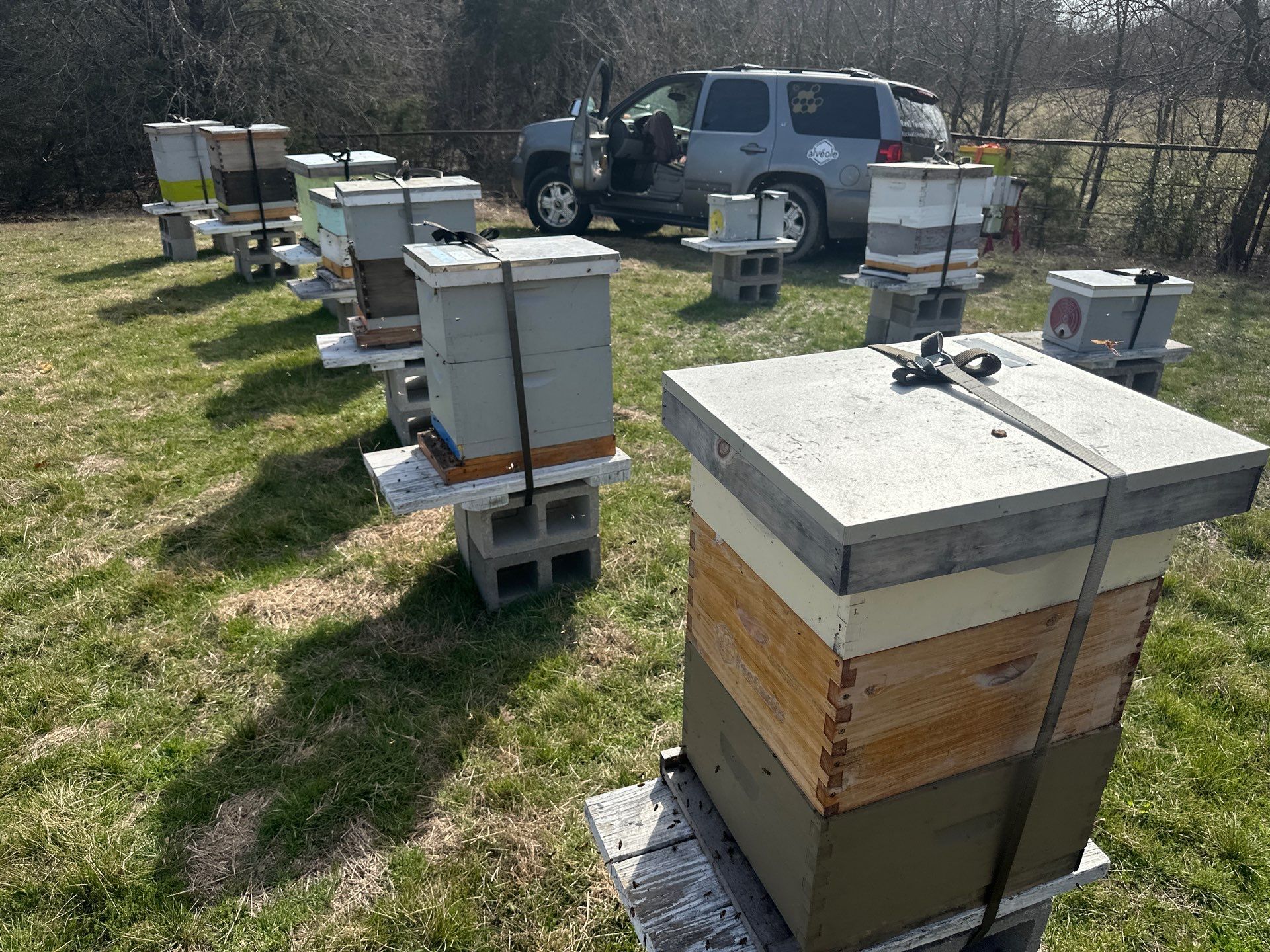 Bees for Ag. Exemption in Heath by Rockwall Honey Bee Company