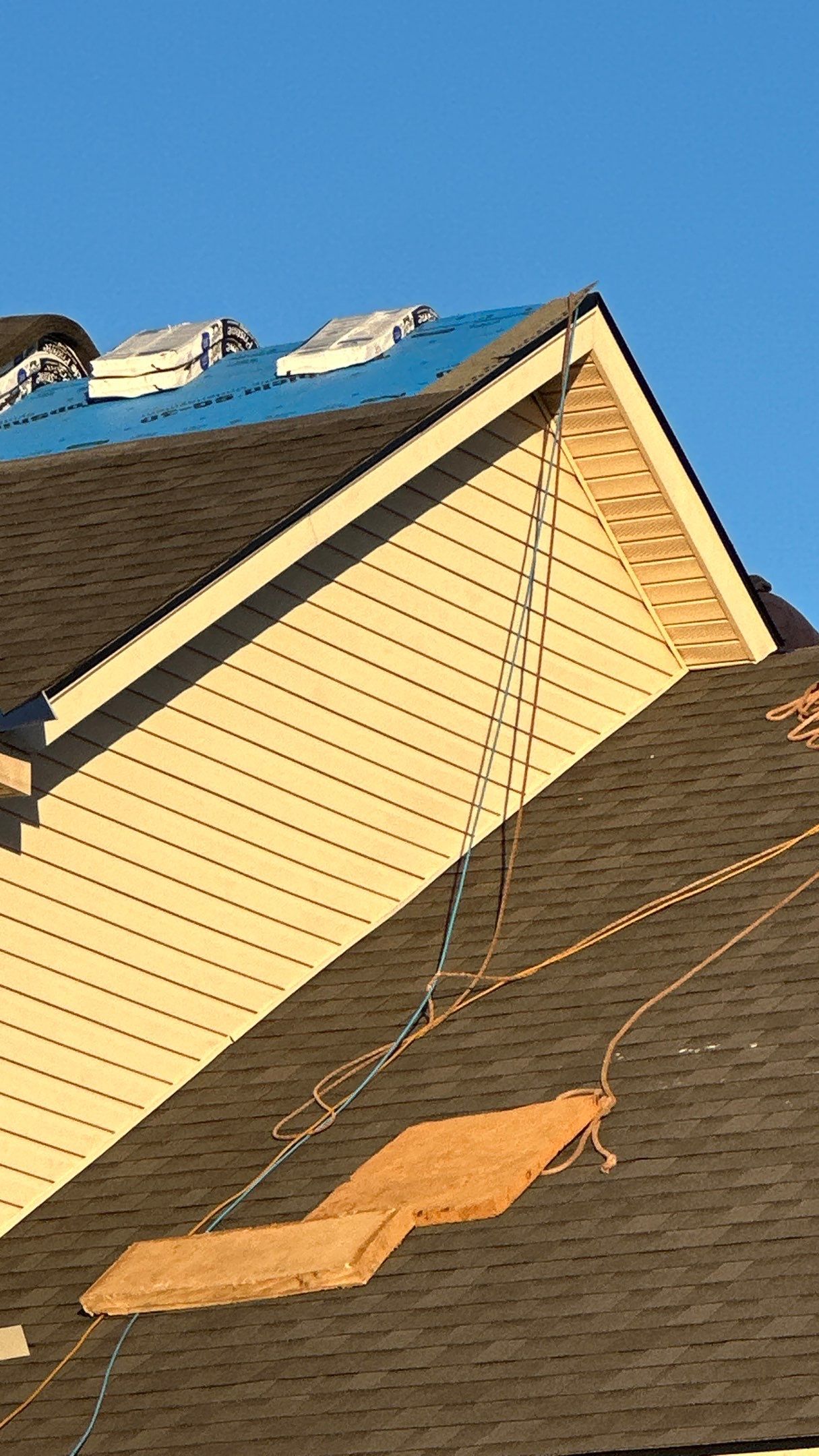 West Hamilton - Pristine Black & Gutters by Tamlin Roofing
