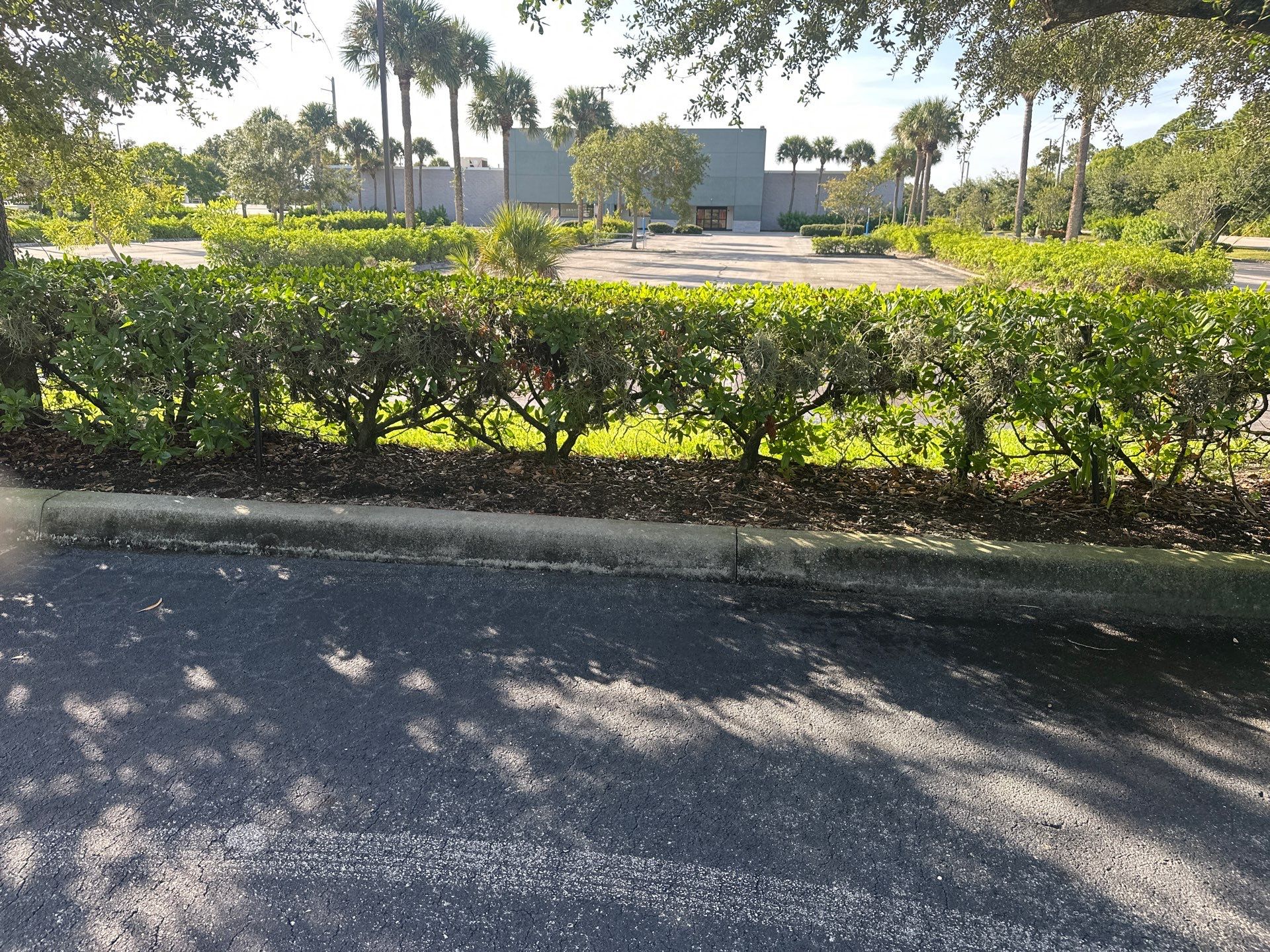 🛏️ City Mattress Refresh — Jensen Beach by Alpha Zeta Enterprises Inc