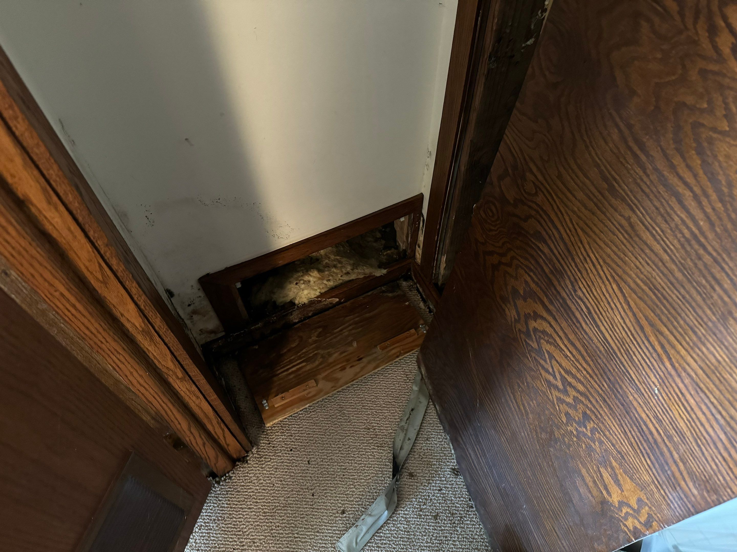 Major Basement Remediation / Restoration by Home Guarantee, LLC