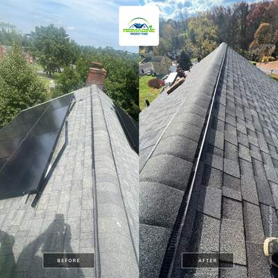 Silver Birch Shingles