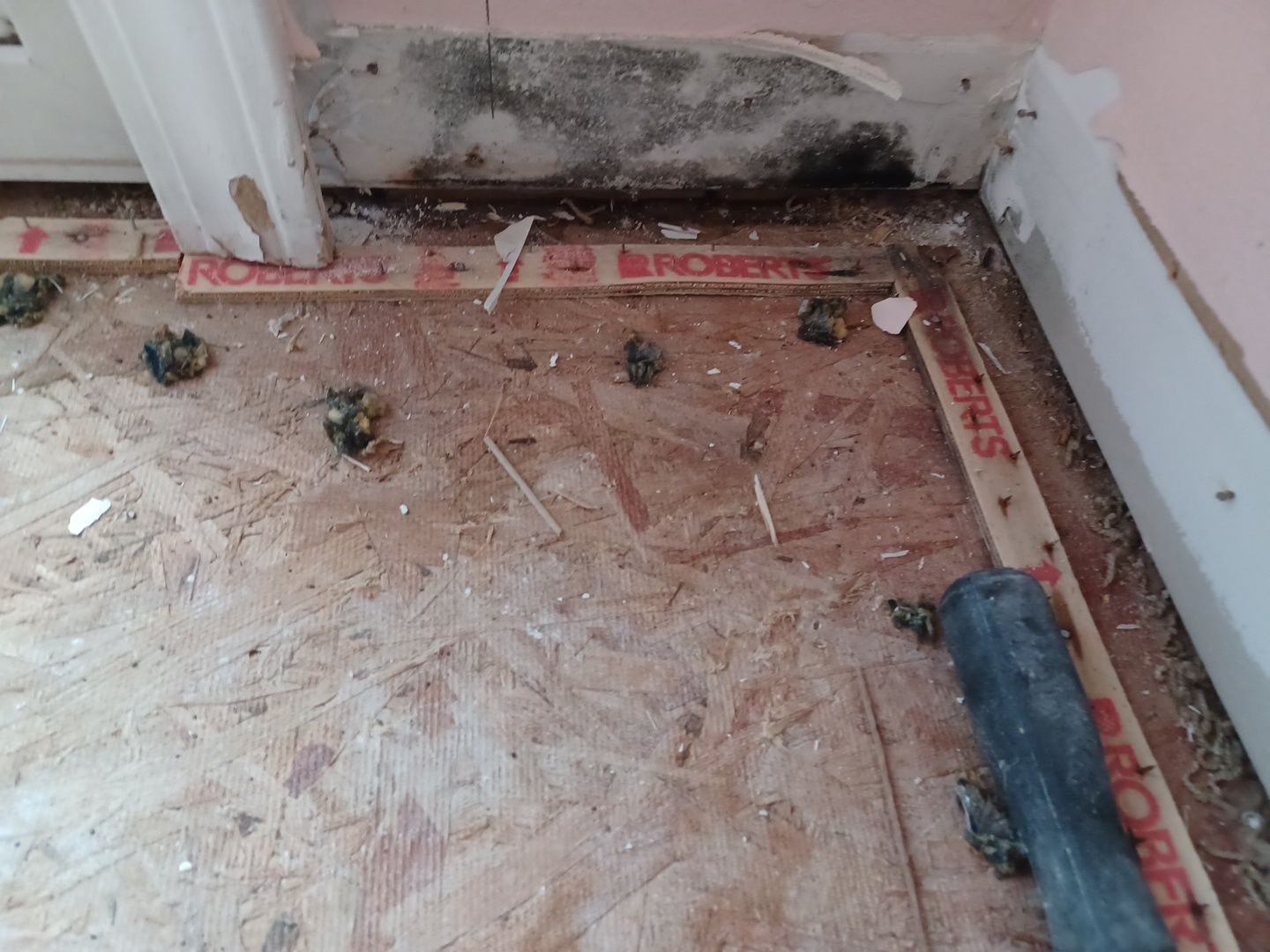 Project in New Haven by EzDry Water Mitigation & Property Restoration