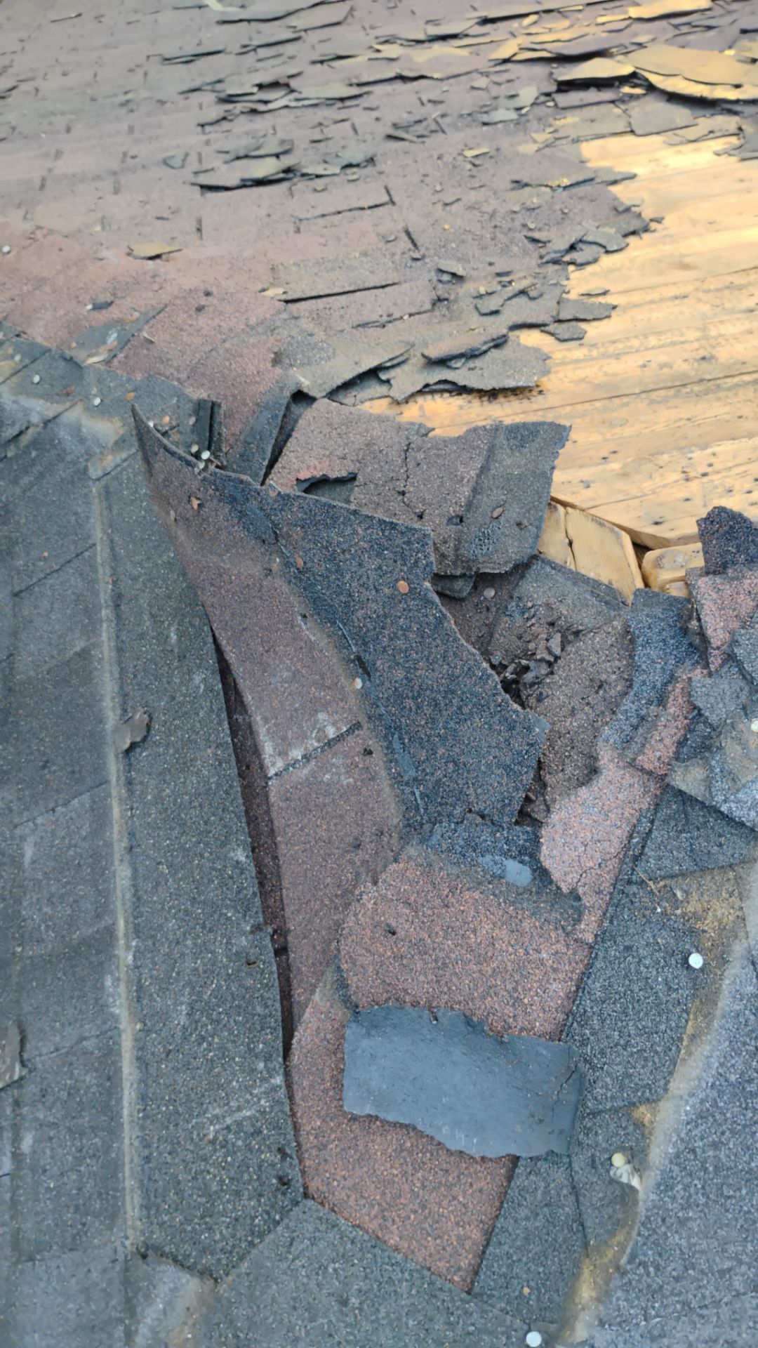 Judy roof replacement  by BROCK BUILDERS 