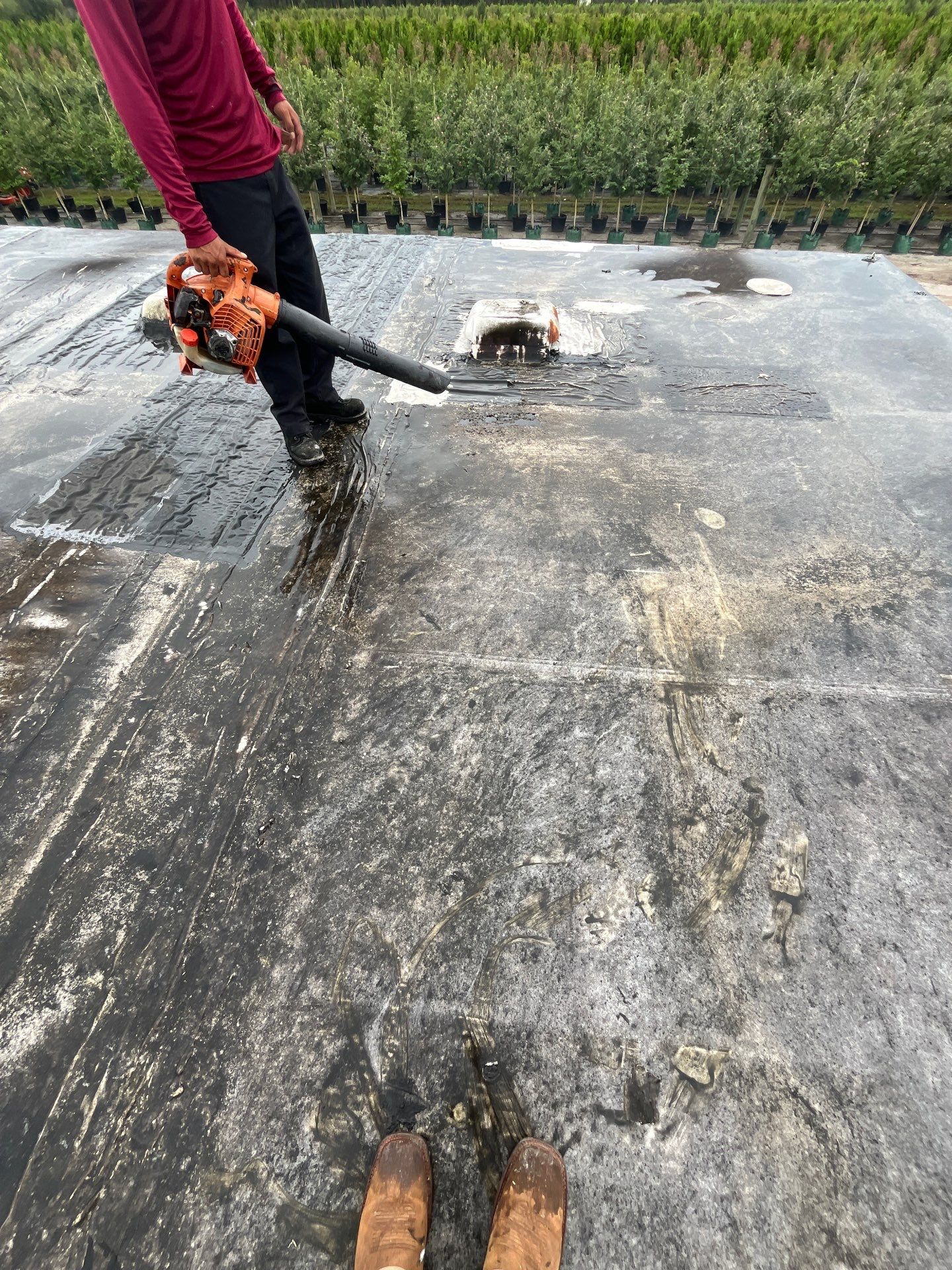 Flat Membrane Roof Repair and Interior Restoration in Fort Myers by cordova home services 