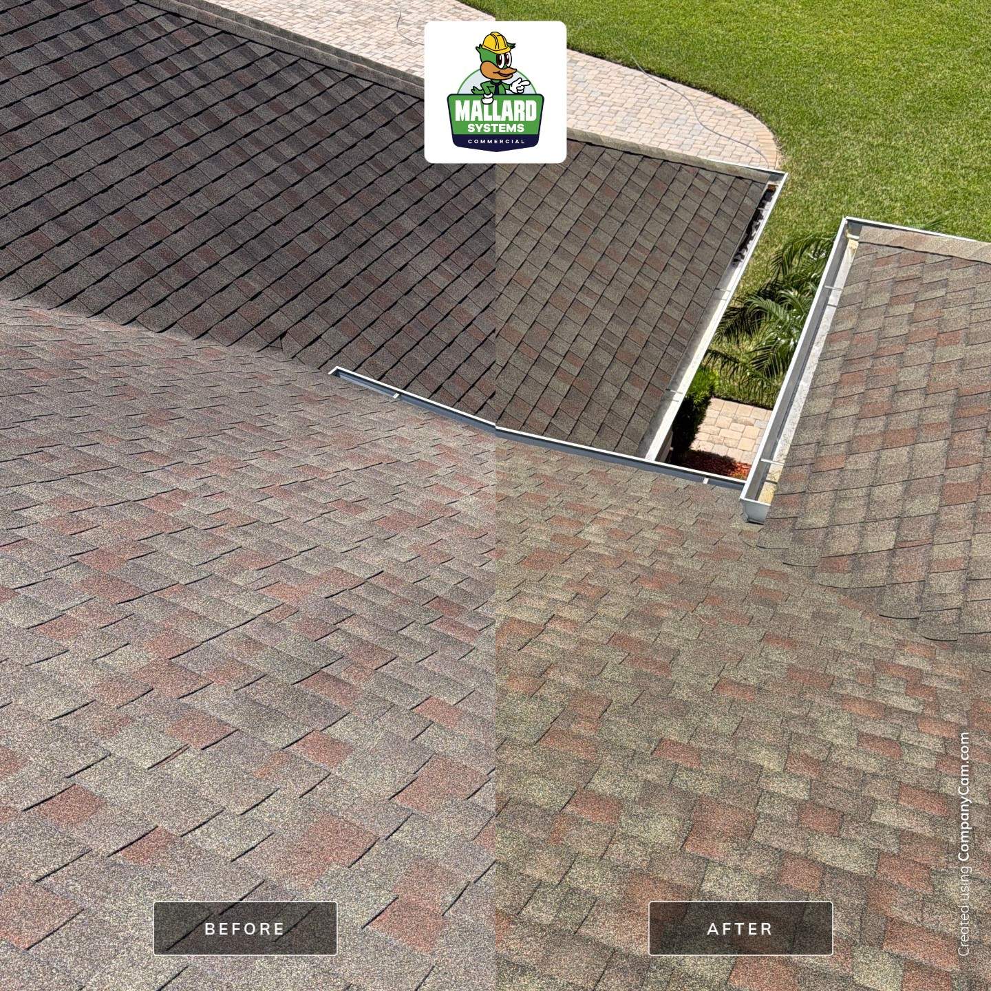 Professional Roof and Exterior Surface Cleaning in Clermont by Mallard Systems