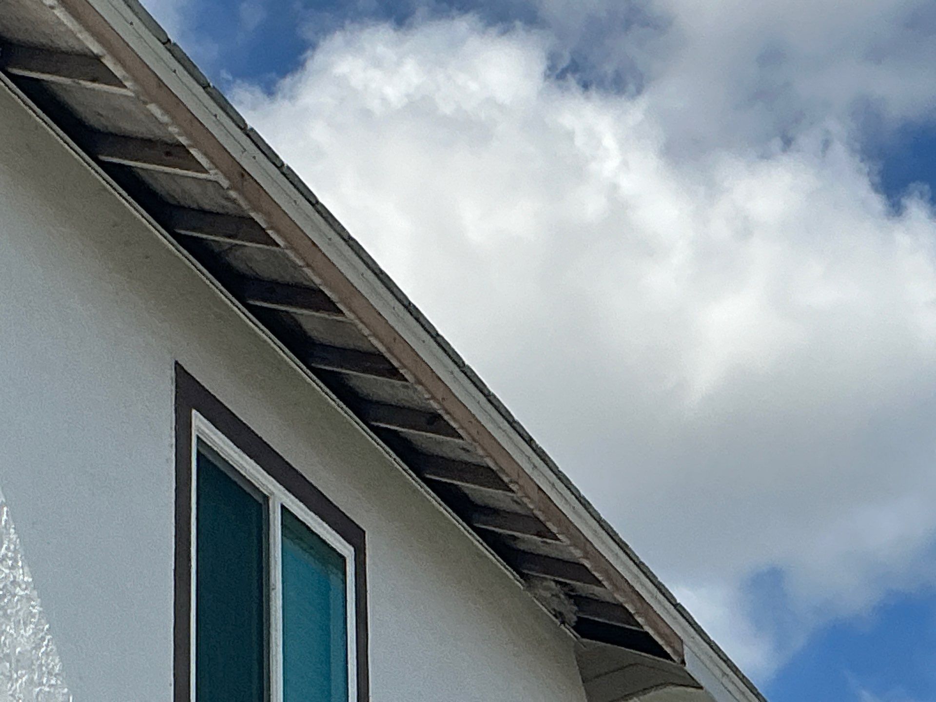 Repainting and Upgrading Gutters in Sarasota FL by Gutter Professors