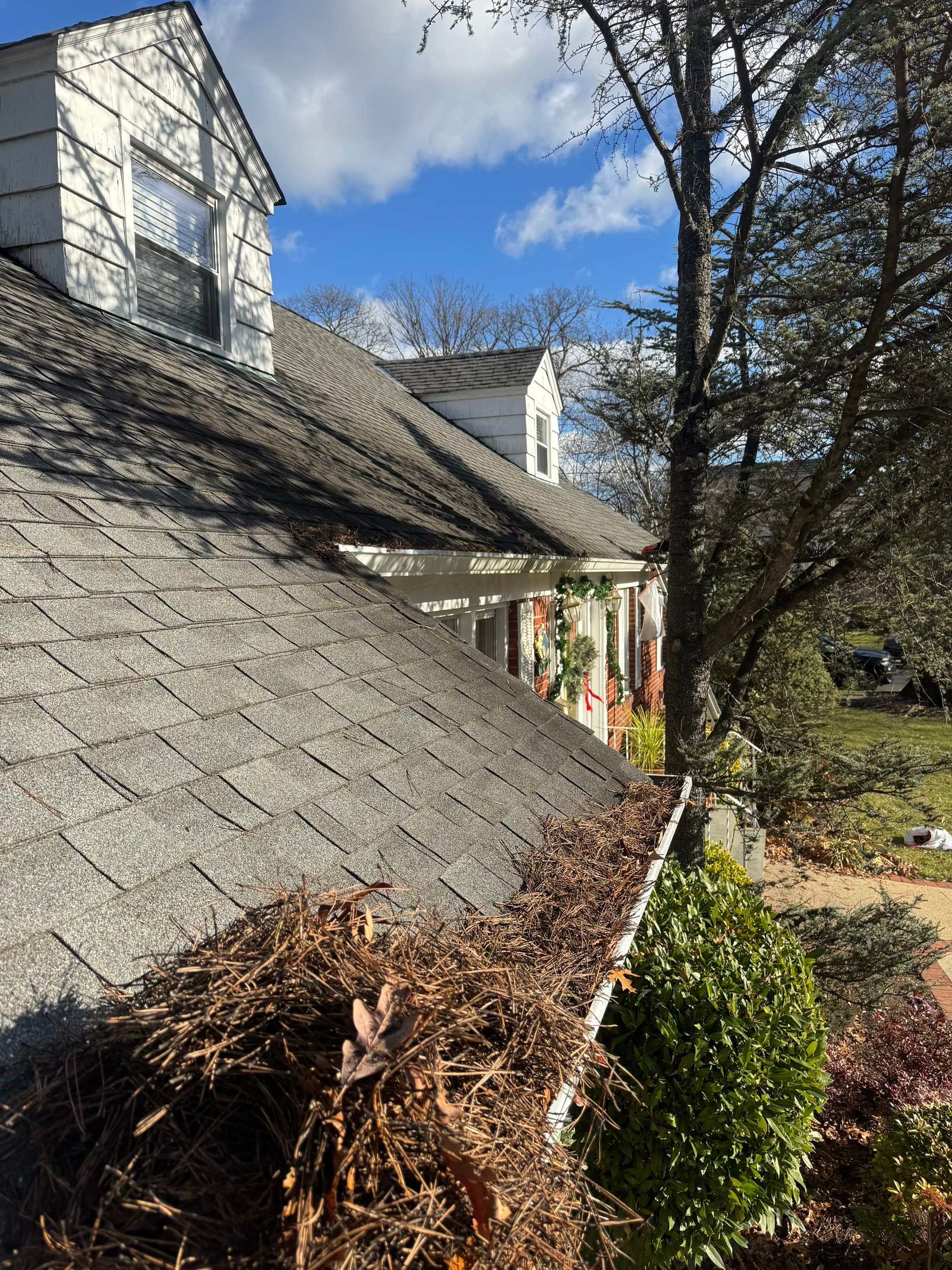 Needlemania! by Above All Gutters 