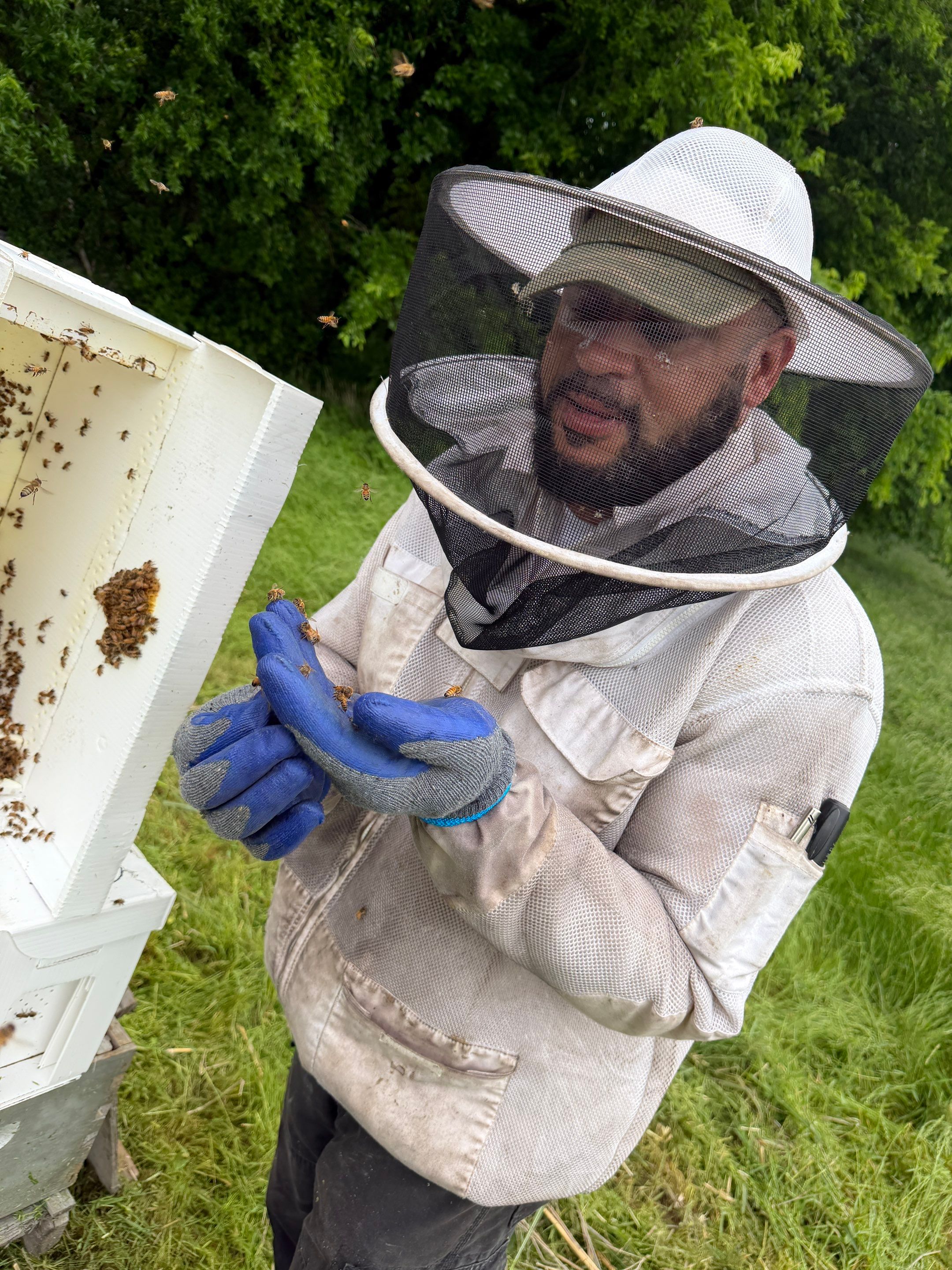Special Use Valuation in McClendon-Chisolm by Rockwall Honey Bee Company