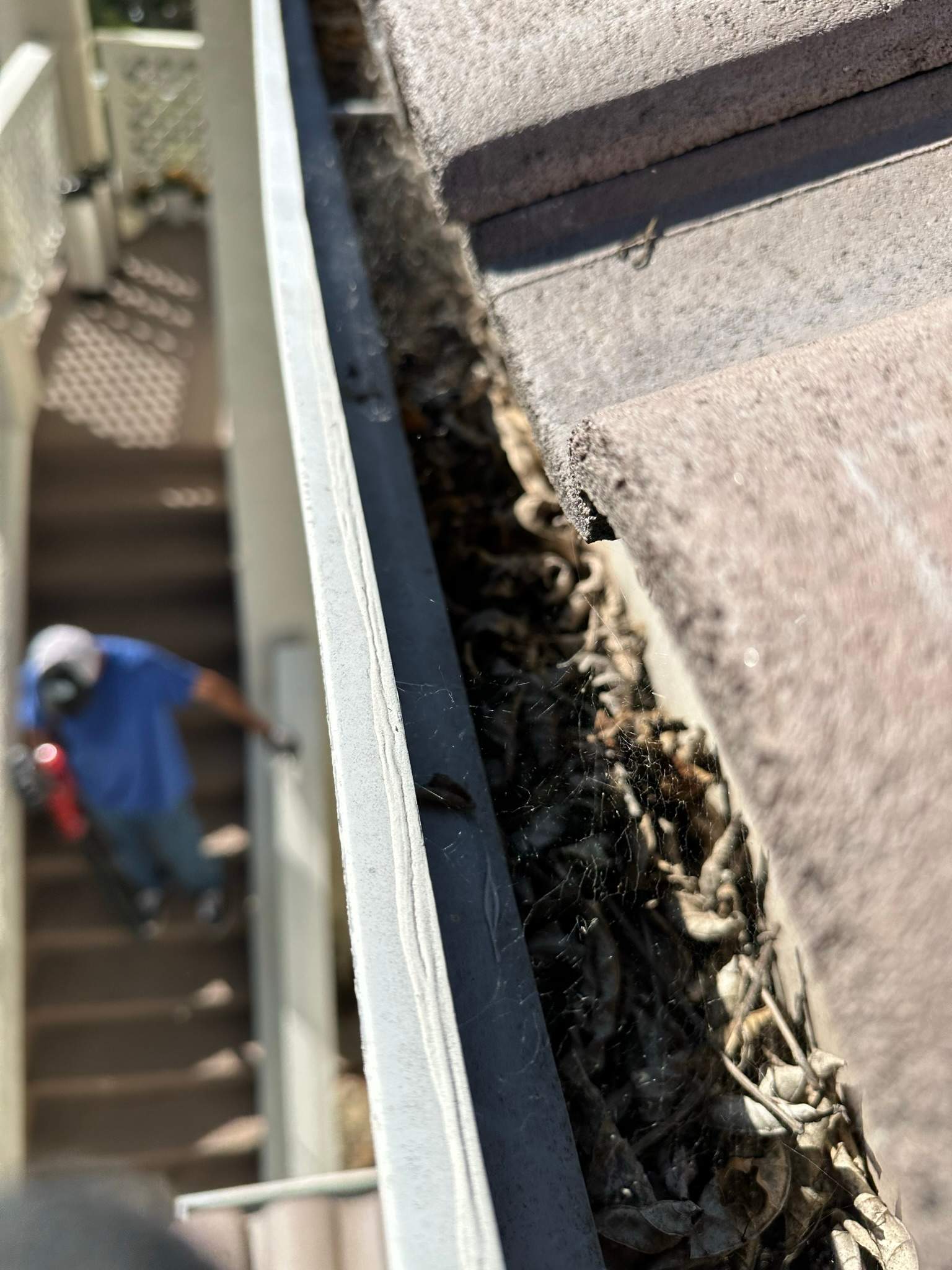 Lake Forest HOA Gutter Cleaning by Property Cleaning Experts, LLC