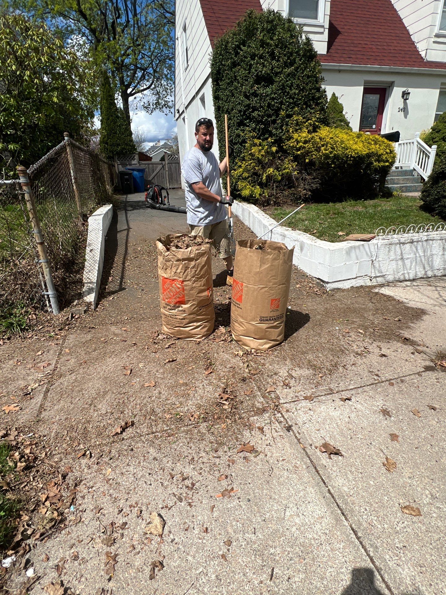Comprehensive Lawn Care and Hedge Trimming in New Haven by Diamond Image LLC
