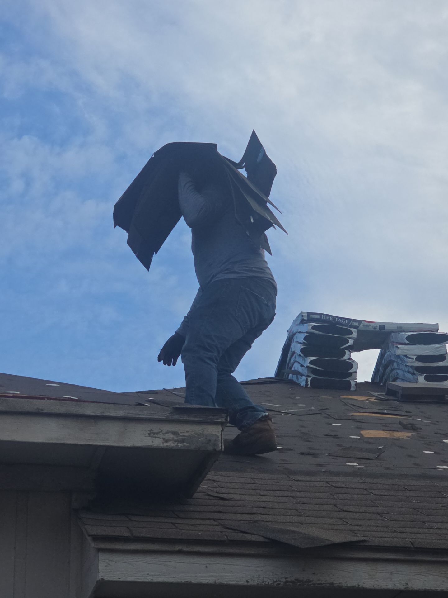 Miss Bridgette by REPS Austin Area Roofer