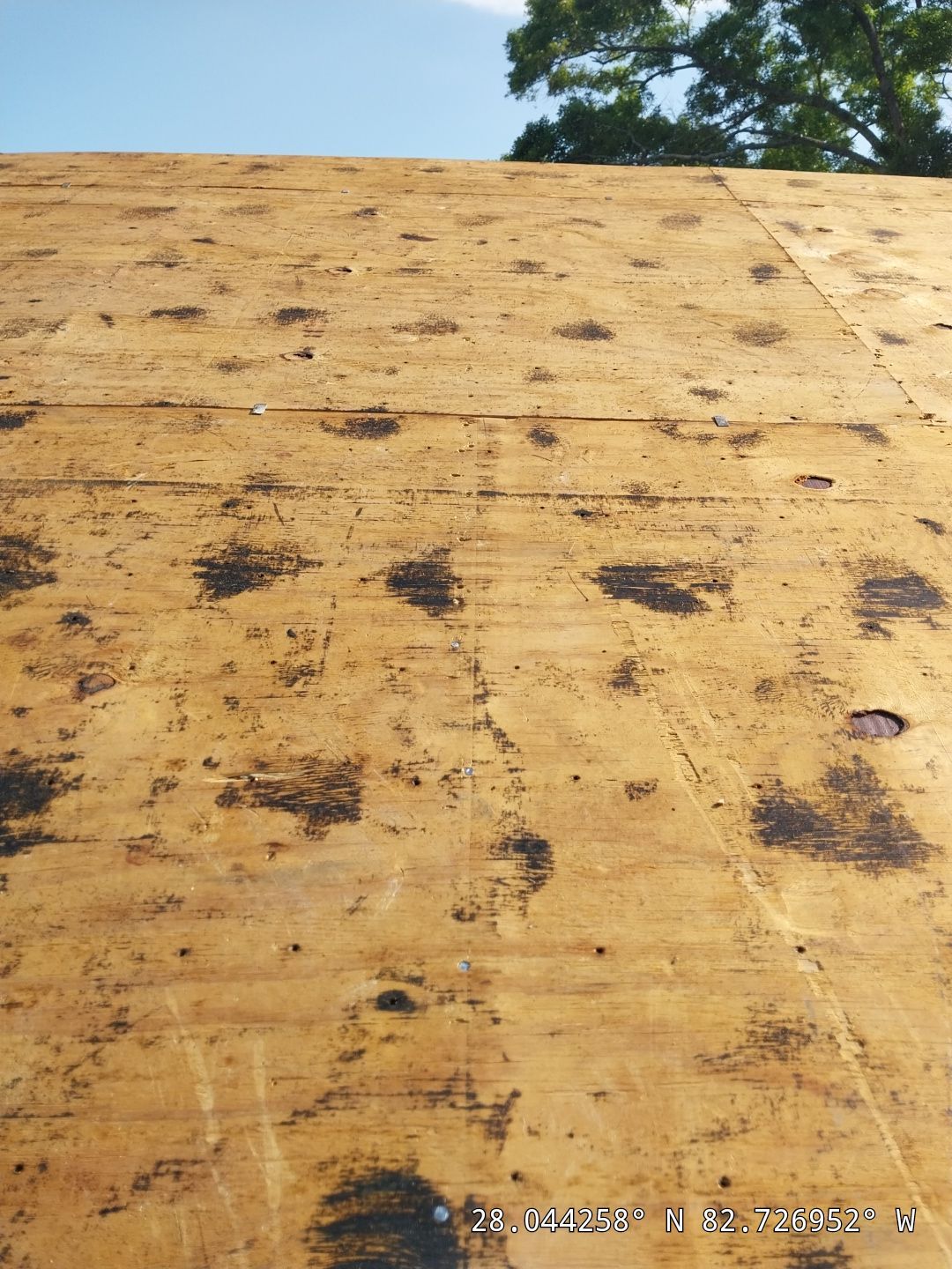 Project in Clearwater 33761 by Mitchell Roofing Company LLC