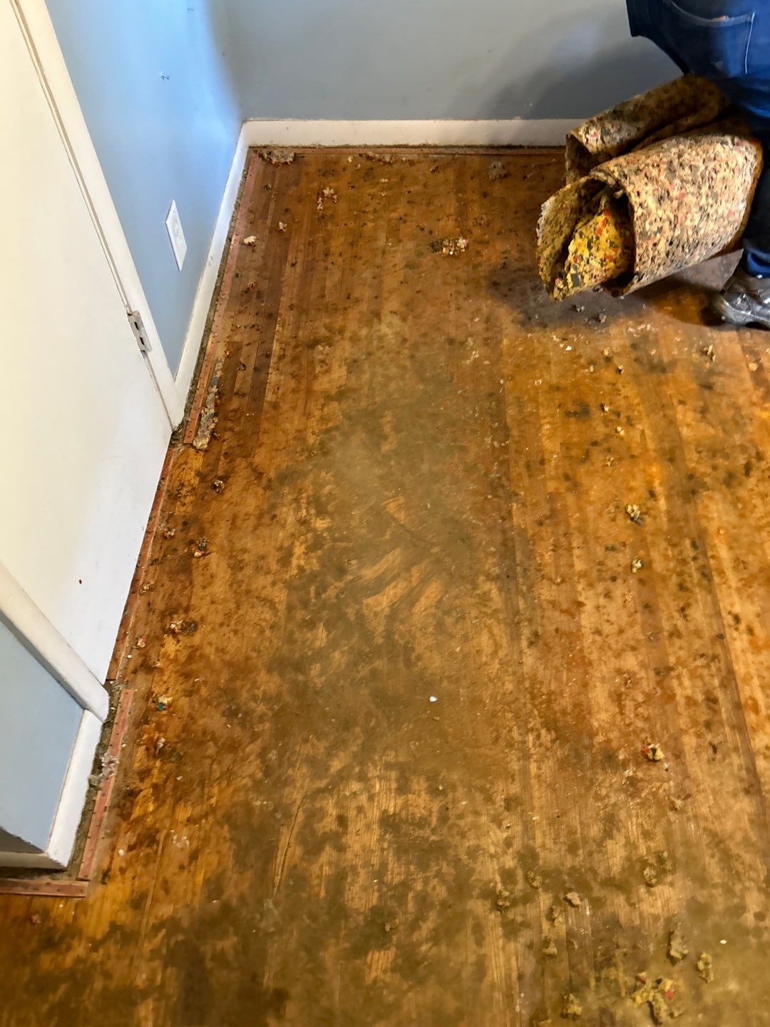 Carpet demo and hardwood refinish  by Footprints Floors of Nashville