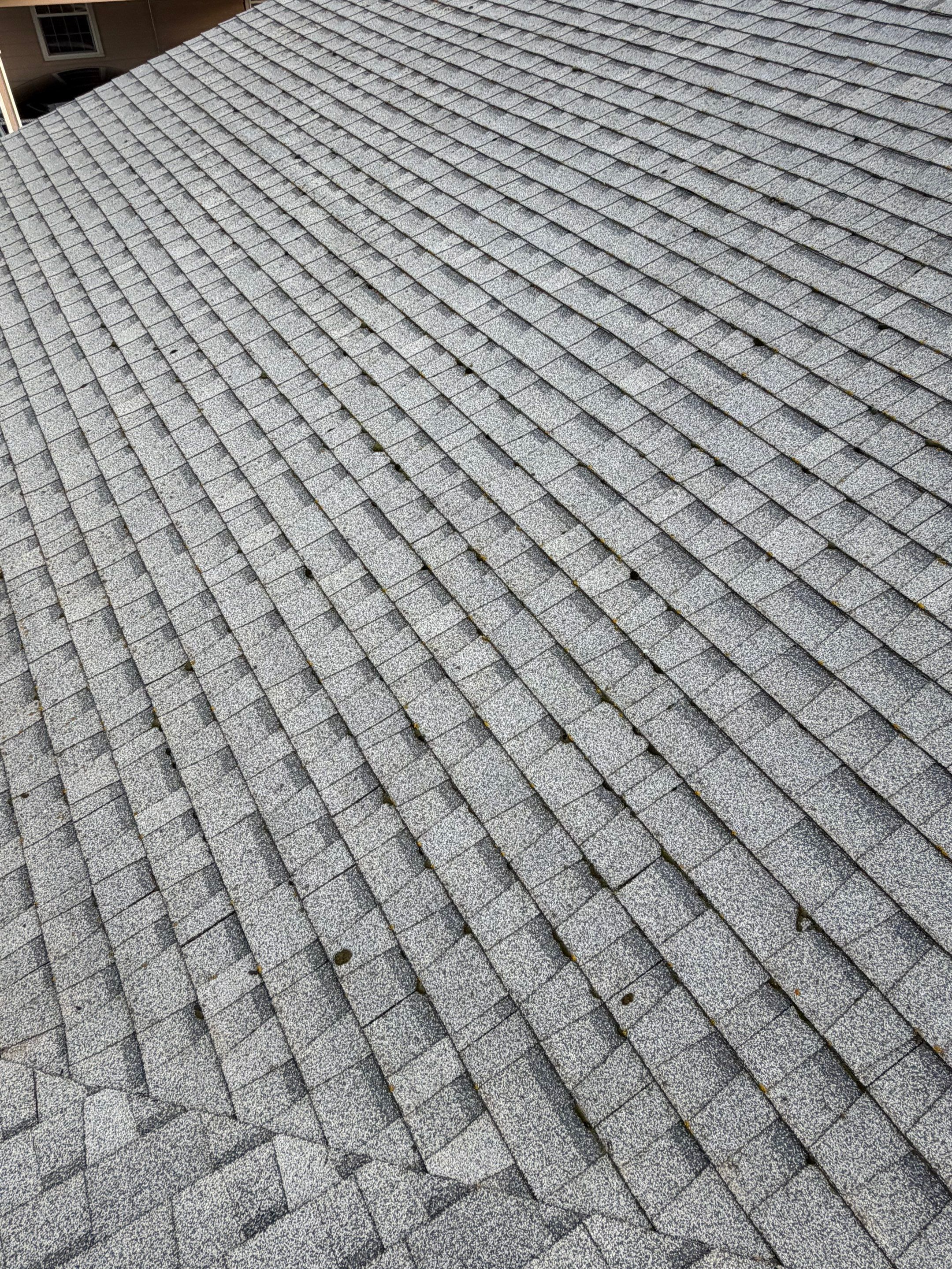 Roof, Siding, Door by BN Covered Exteriors