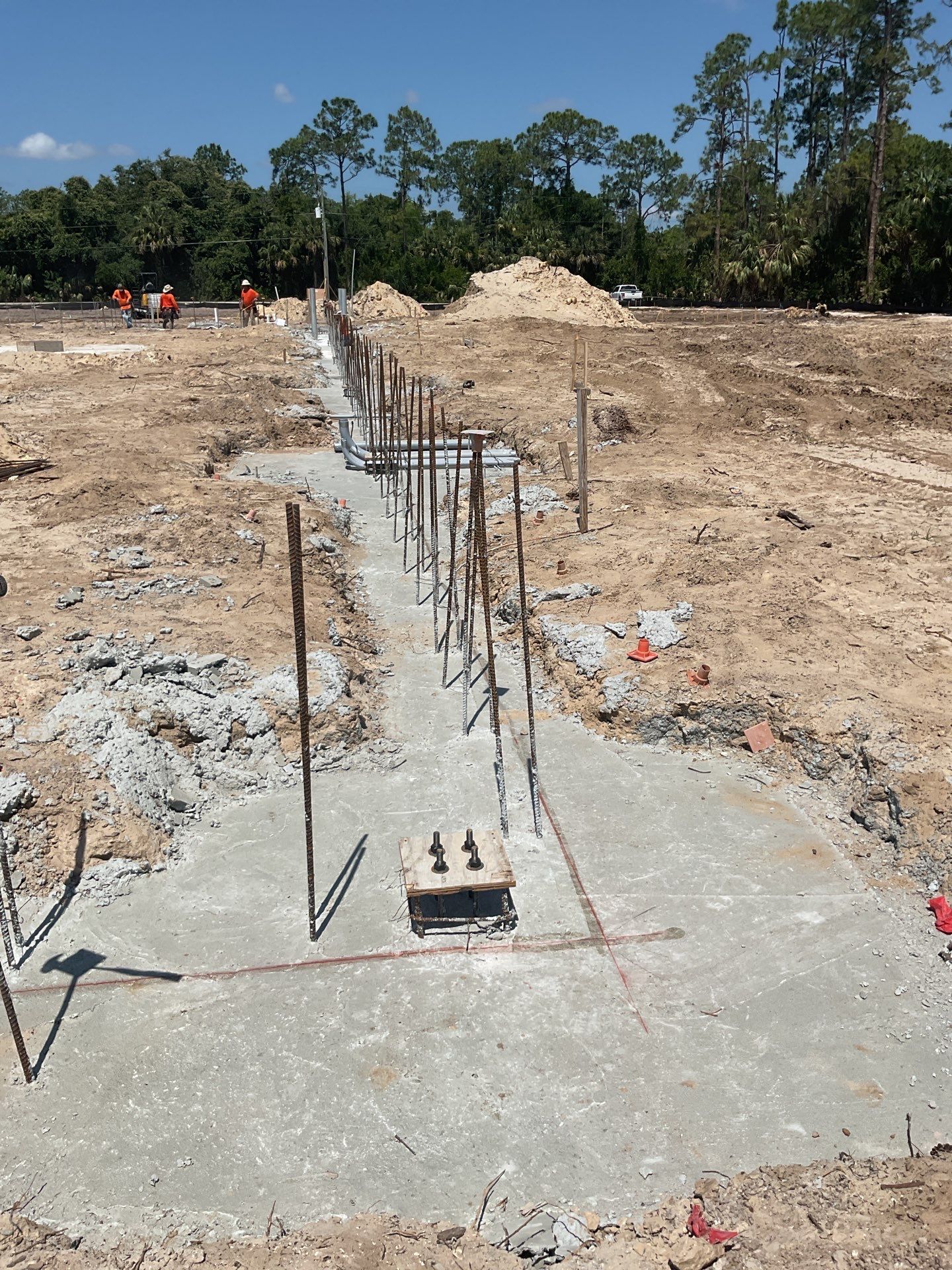 TRACTOR SUPPLY NAPLES by Southern Gulf Construction