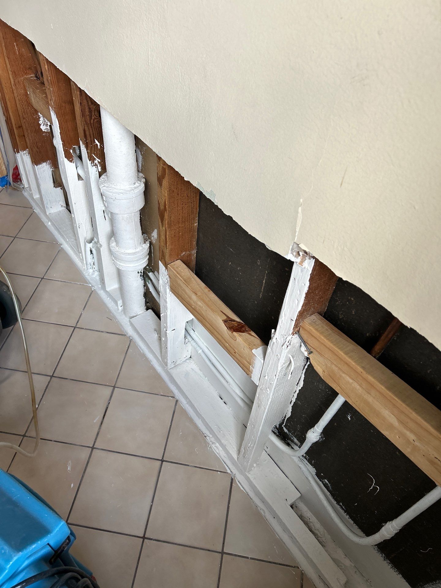 Mold Remediation  by THE RAPID TEAM