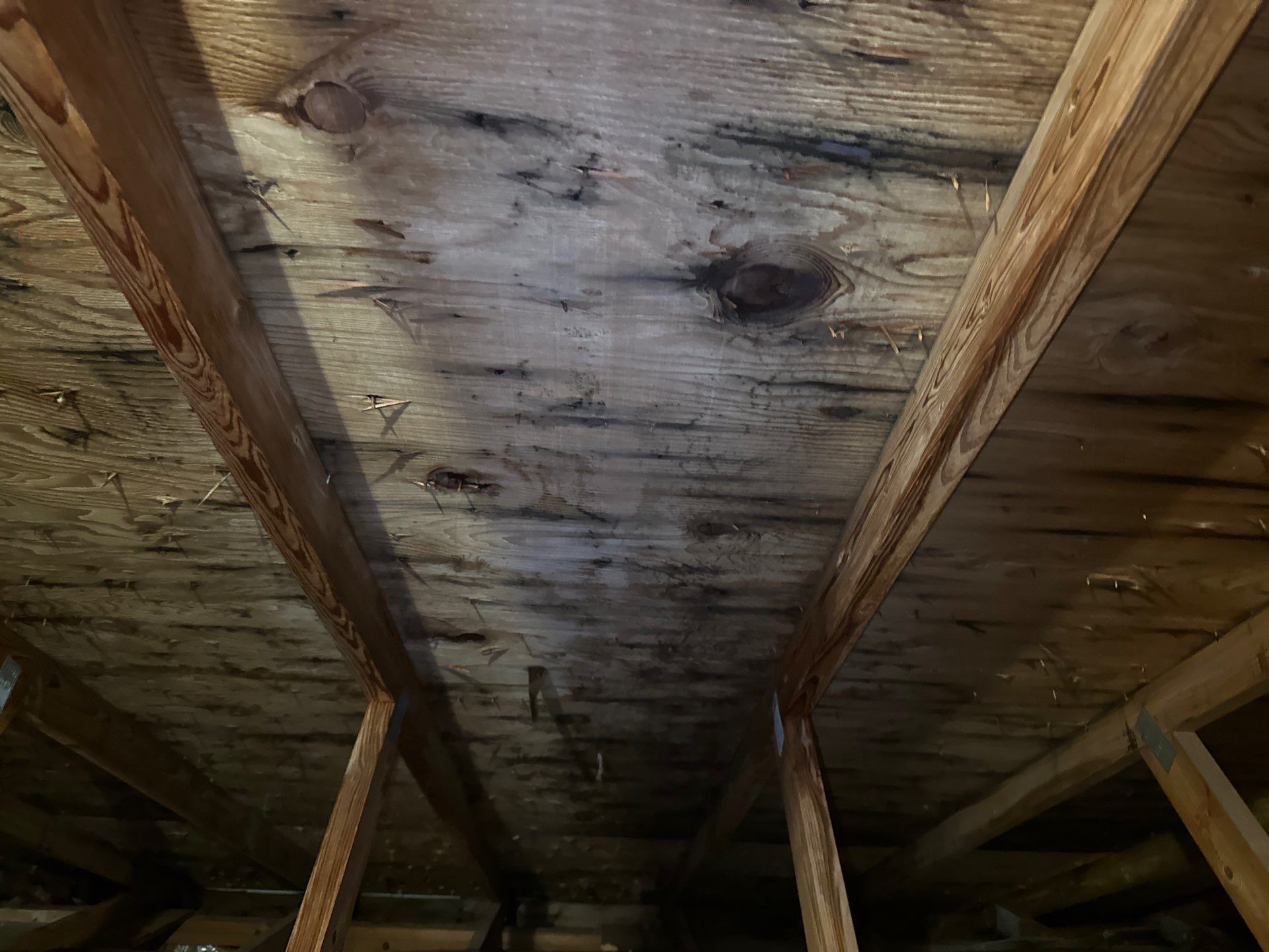 Addressing Attic Mold and Upgrading Insulation in Cranberry Township, PA 16066 by Home Environment Solutions