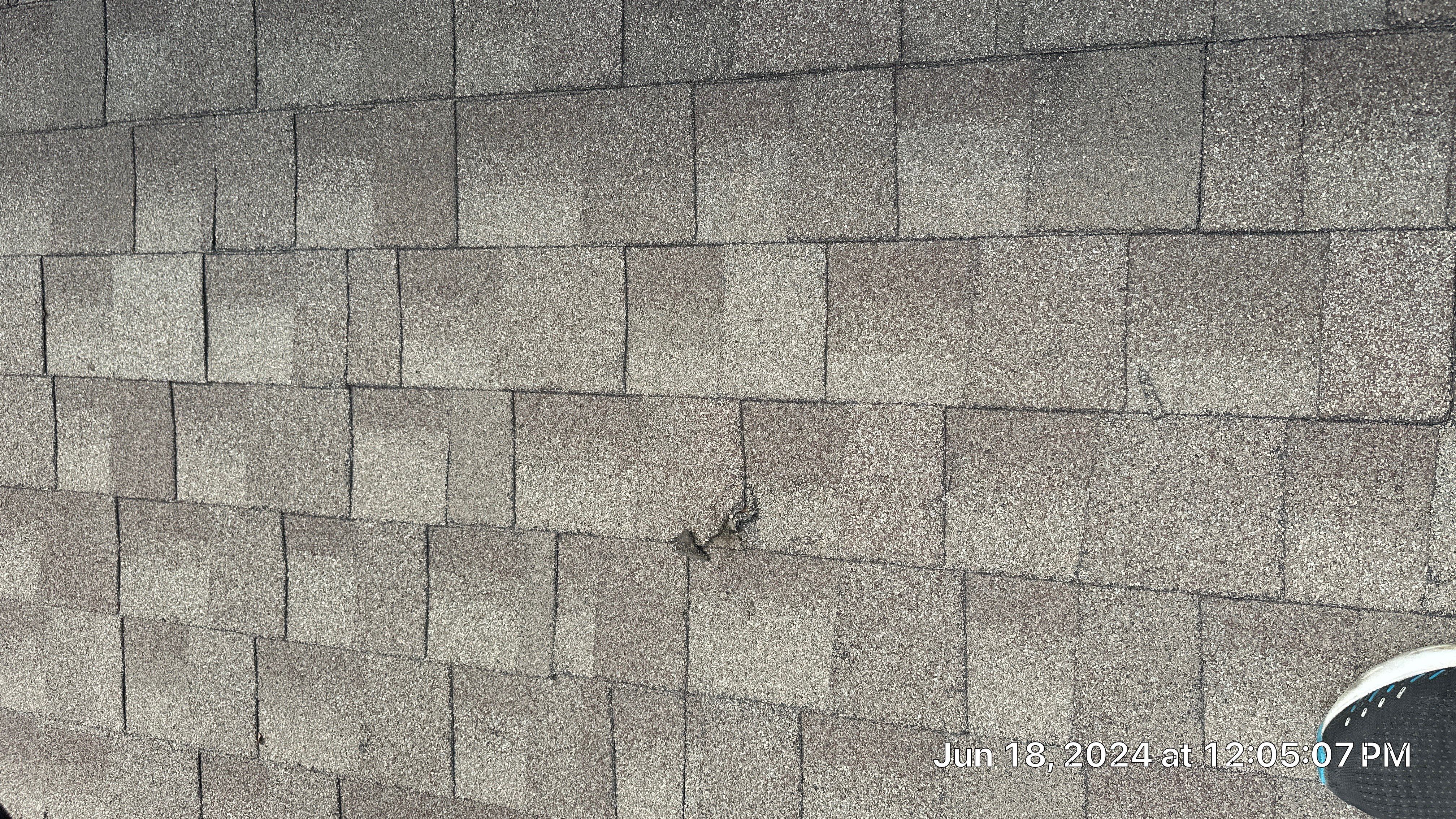 Roof Damage  by Zeus Exteriors