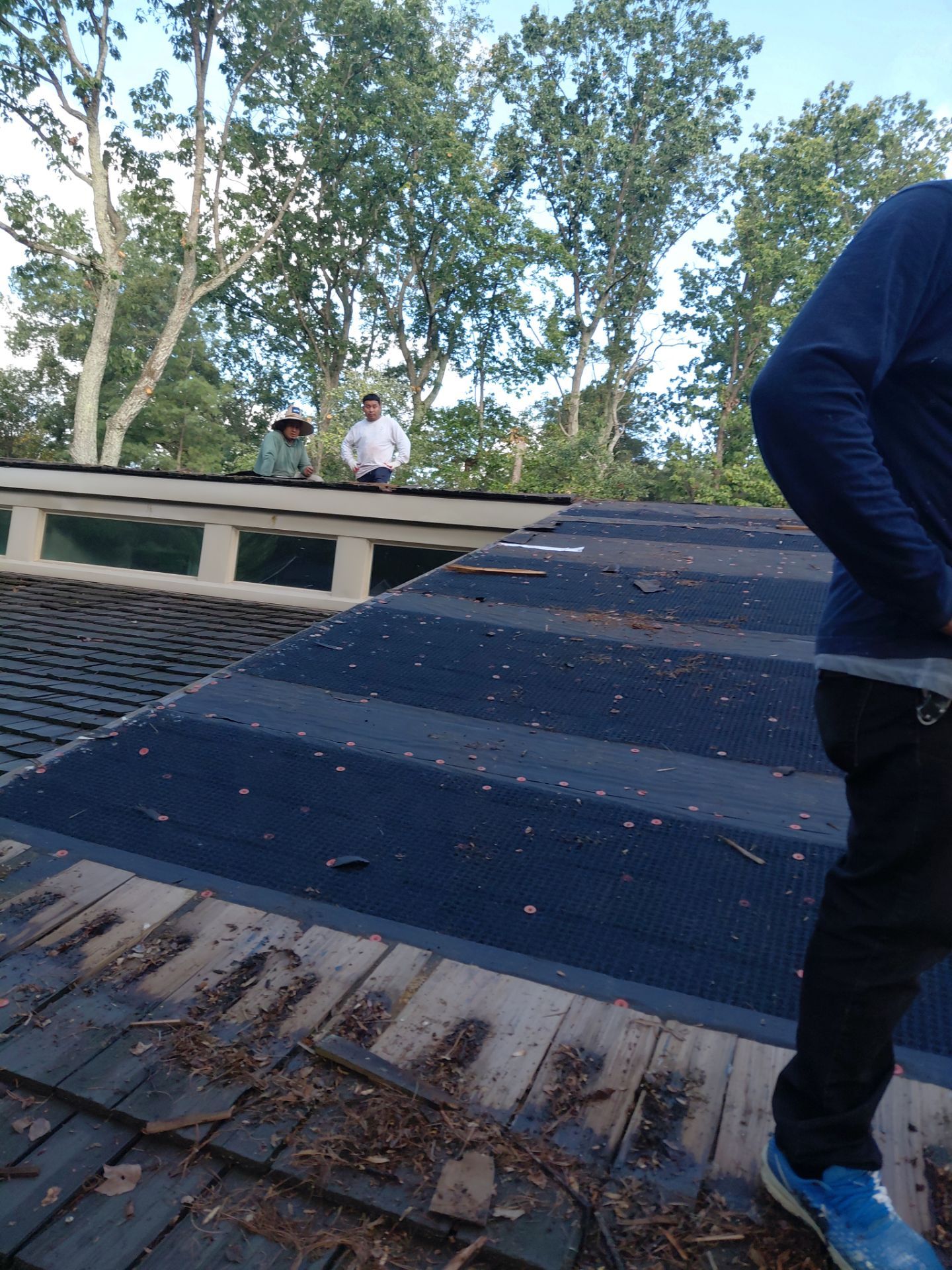 Vienna : Residential Roof Replacement with CertainTeed Landmark Pro in Max Def Georgetown Gray  by RM Banning, Inc.