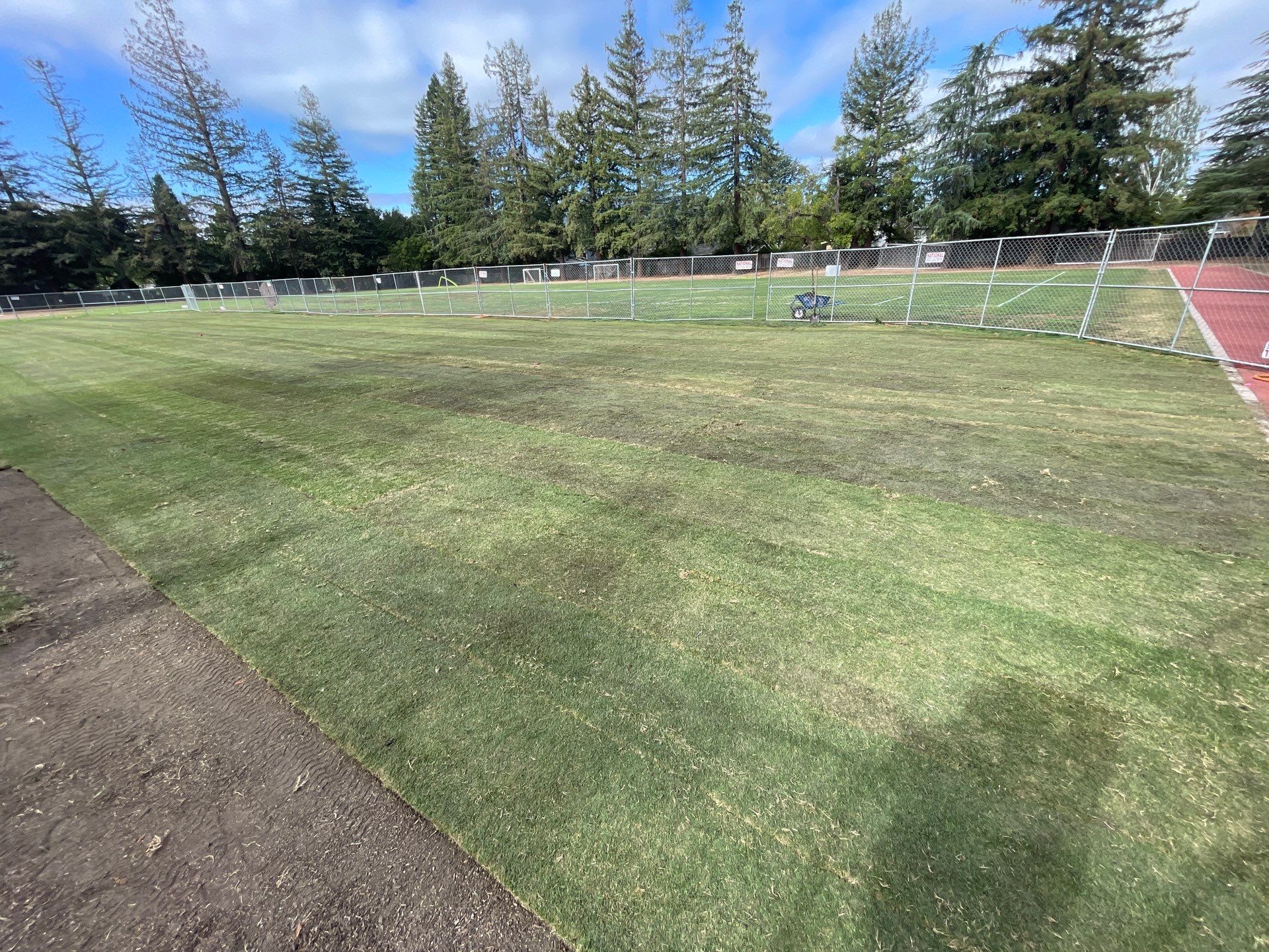 Project in Los Gatos by A - G Sod Farms