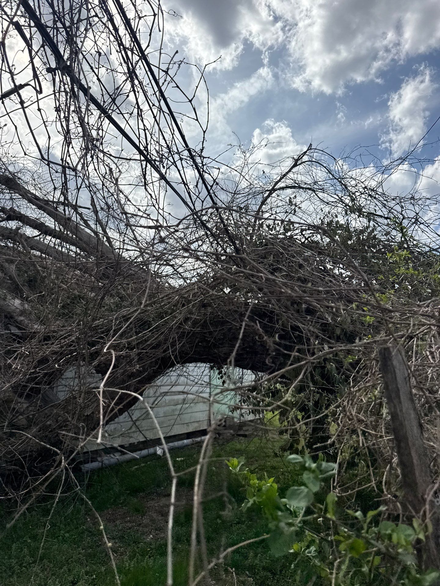 Project in Nitro, WV 	Rotator Crane Lifts Tree Off House | Nitro WV 	•	One Wrong Move Job | Rotator Crane Tree Removal 	•	Heavy Rescue Tree Job | Nitro WV 	•	Extreme Tree Removal Over Home | Nitro WV by Jones Empire LLC