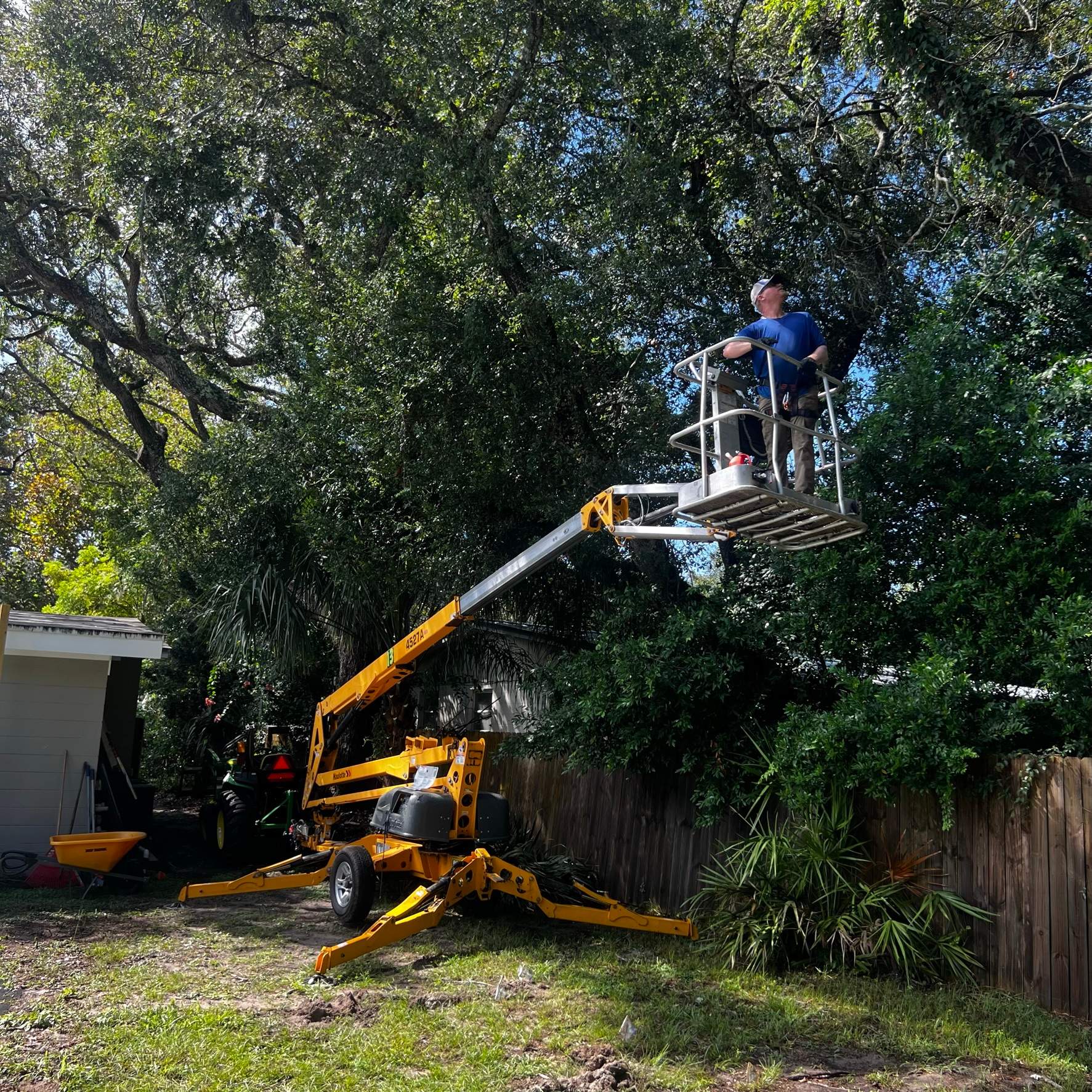 Tree Removal | Residential by ProGreen Services