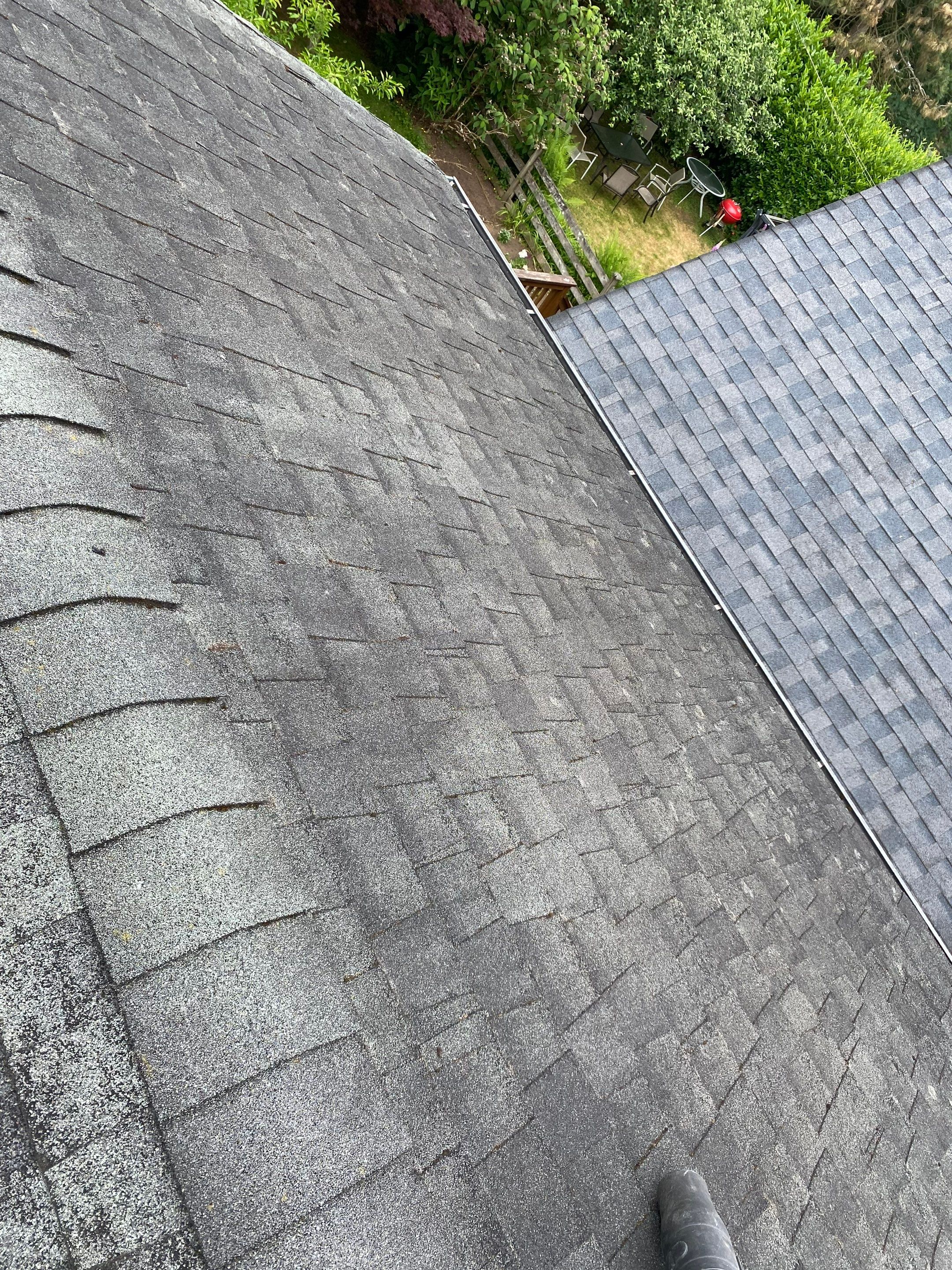 Soft Wash Shingles & Siding - Gutter Cleaning - Fascia Painting  by YVR Construction Group