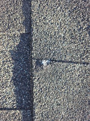 Project in Davenport