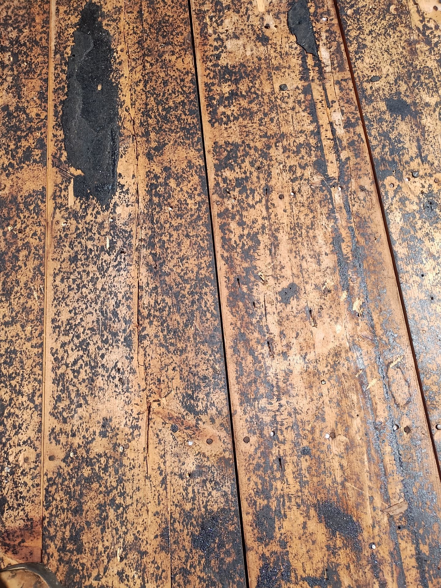 Project in St. Petersburg 33710 by Mitchell Roofing Company LLC 