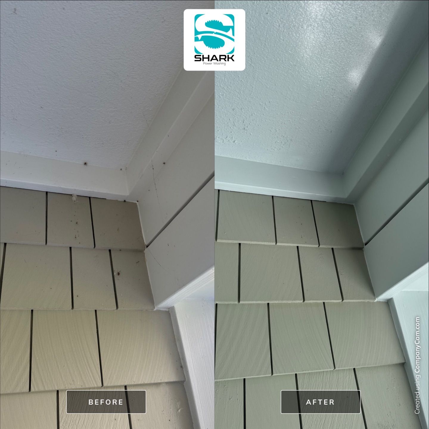 House Washing in Wilmington by Shark Power Washing