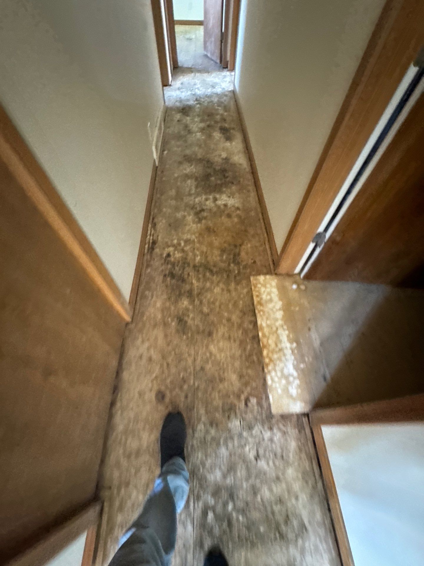 Project in Richmond by EzDry Water Mitigation & Property Restoration