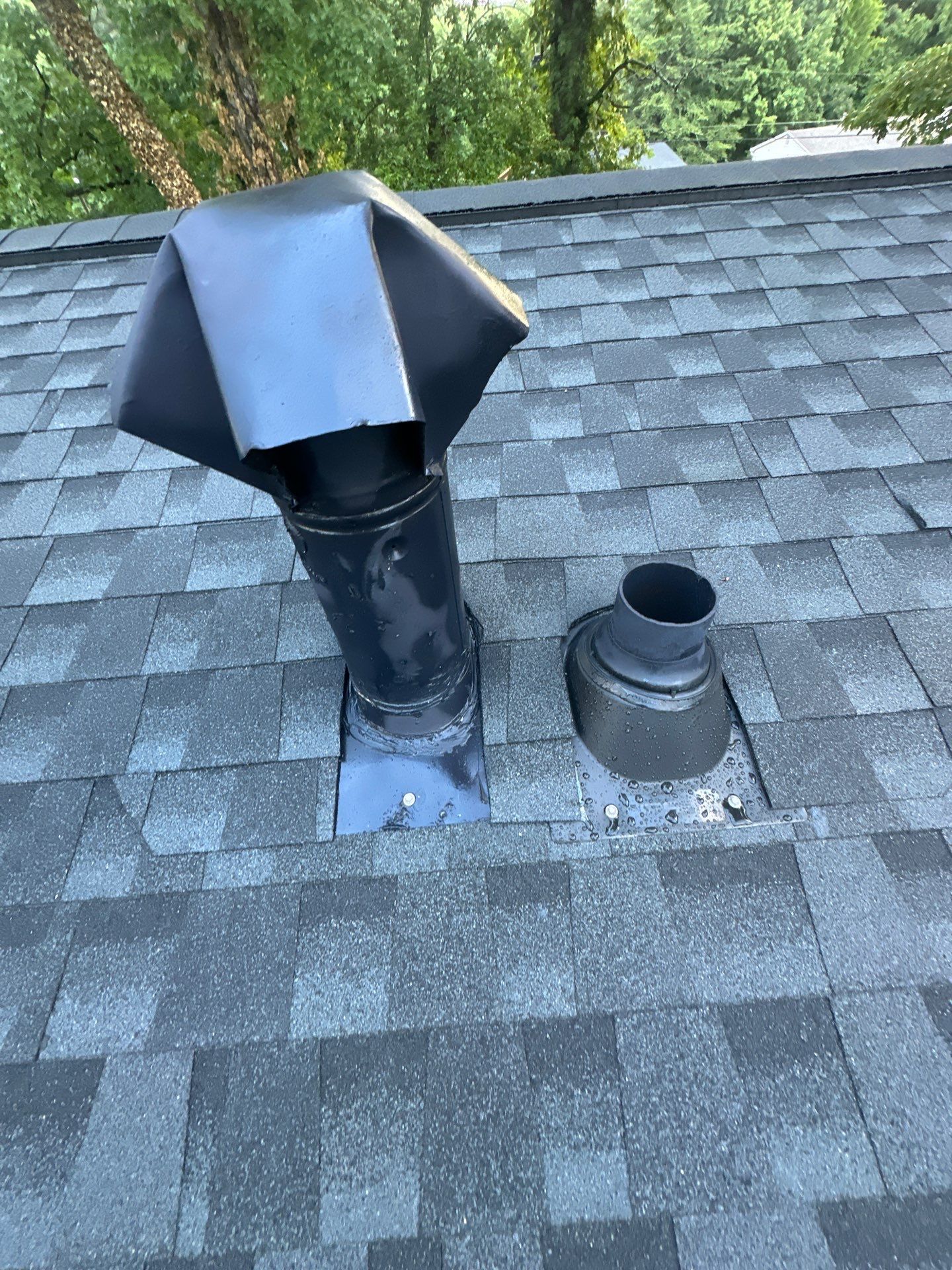 Radical Color Transformation by Georgia Roof Advisors