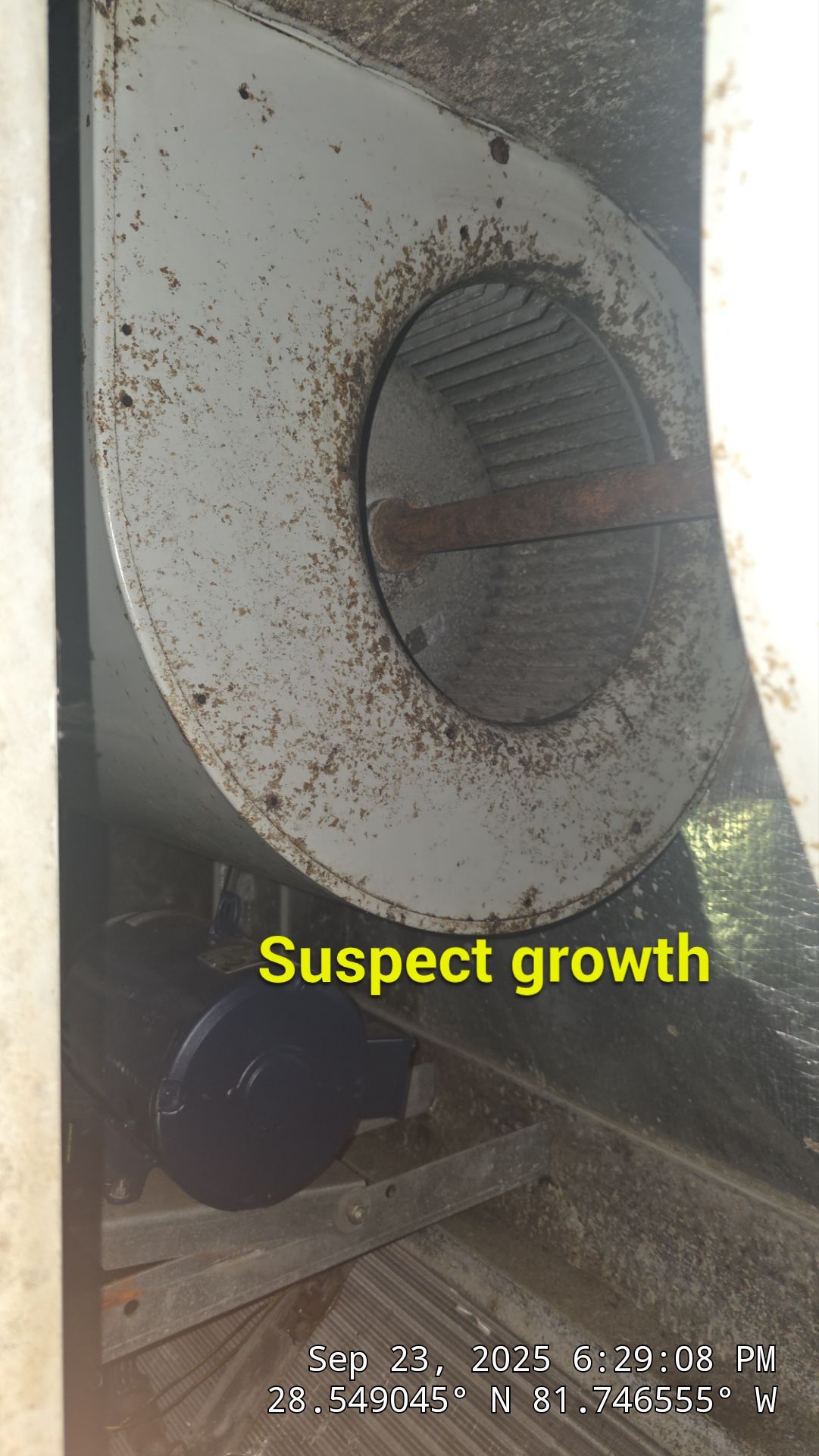 Commercial Air Duct Cleaning in Clermont  by Hygienic Air, Inc
