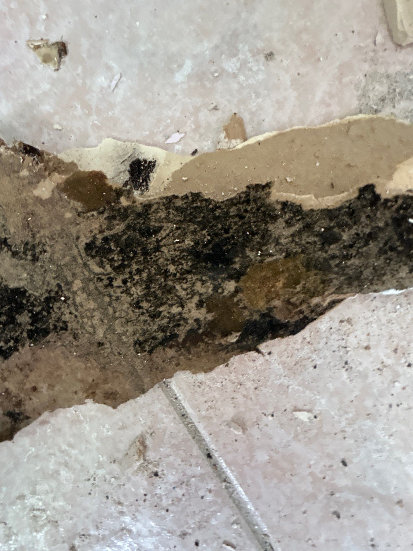 Water And Mold Restoration by Ampm Restoration Services