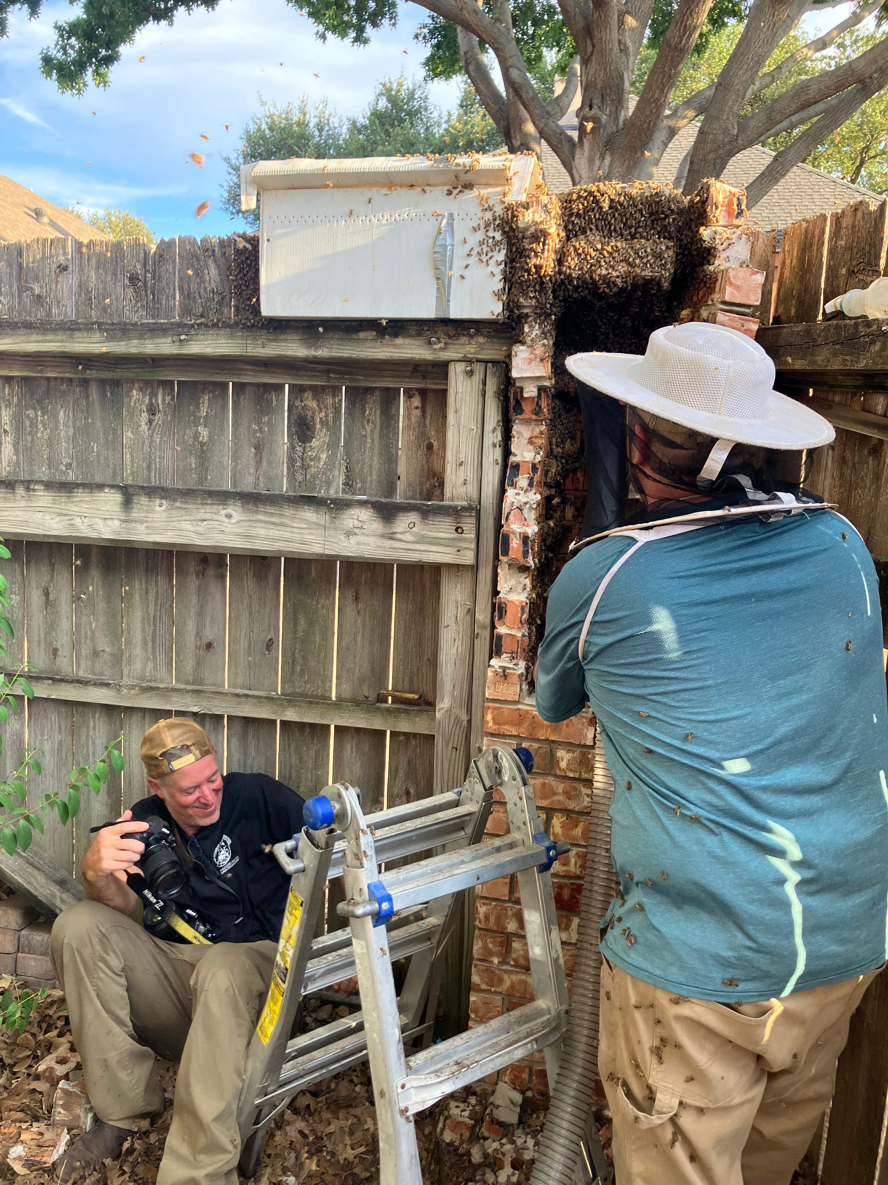 Brick Column by Rockwall Honey Bee Company