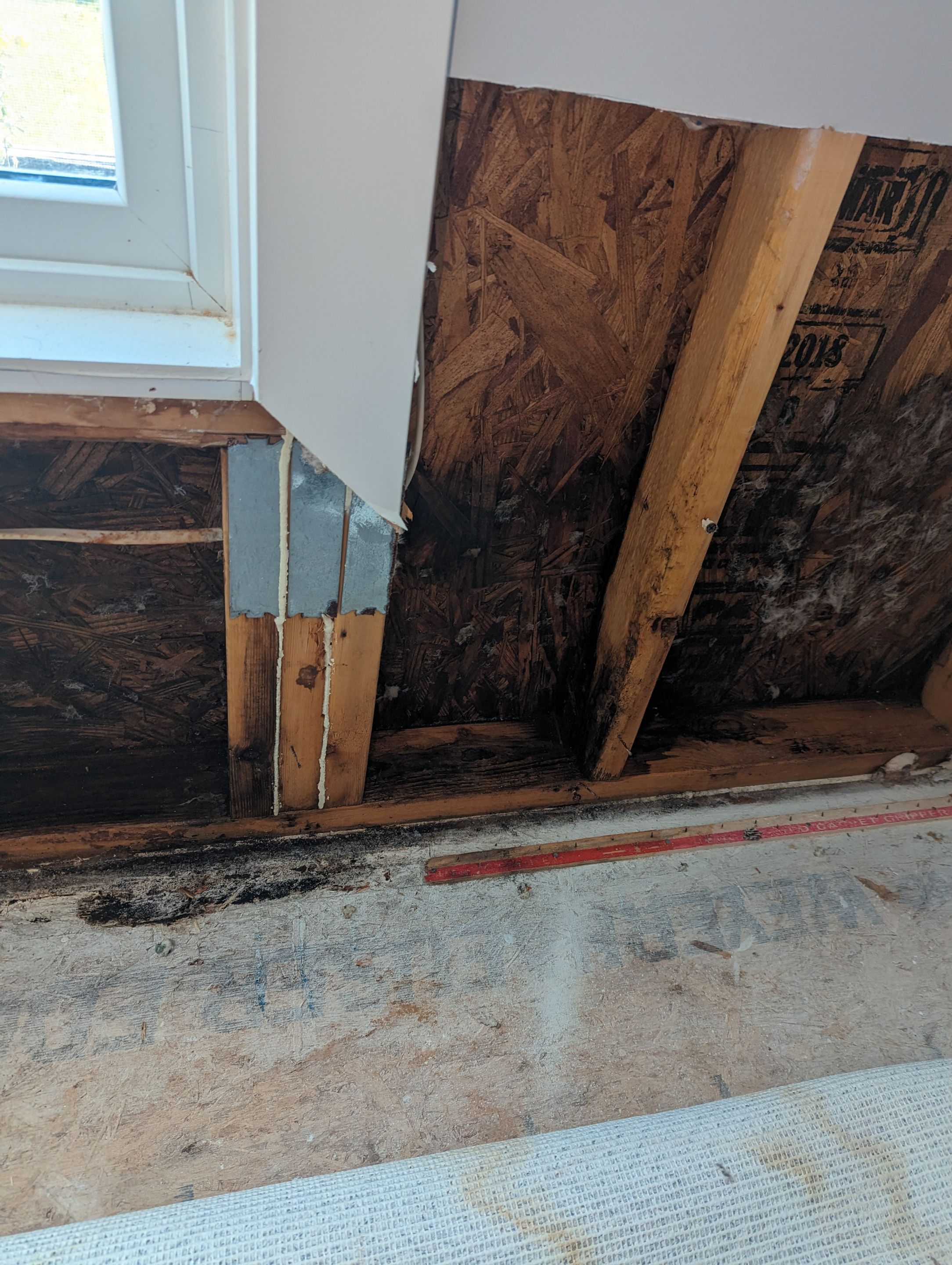 Mold Remediation in Jeffersonville, IN by ANR Restoration