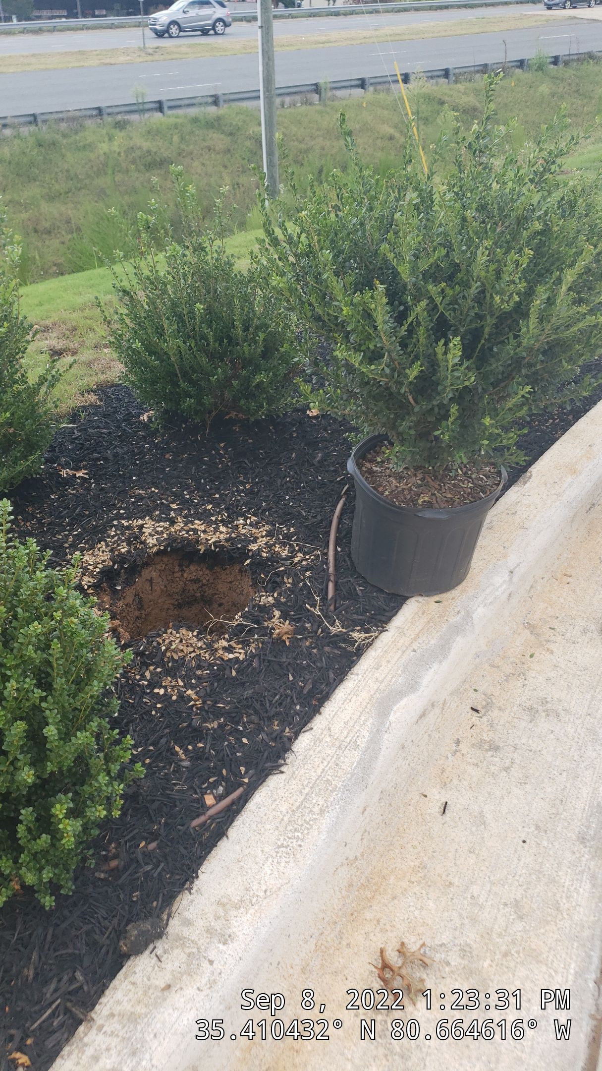 Commercial Landscaping Harris Teeter Fuel Station by Carolina-Metro Landscape, Inc