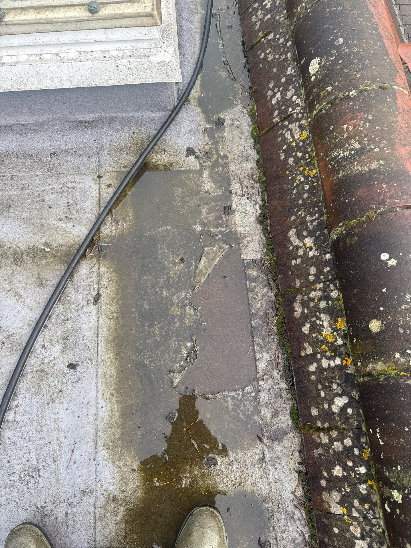 Roof - Driveway - Patio Clean using 18inch Whirlaway FSC by Ges Exterior Cleaning ltd