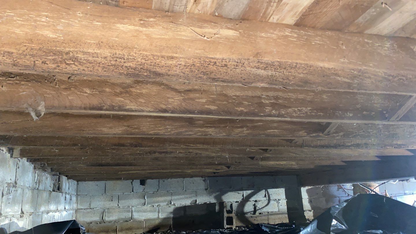 Crawl space encapsulation and Waterproofing using GrateDrain Waterproofing System by Toledo Basement Repair 