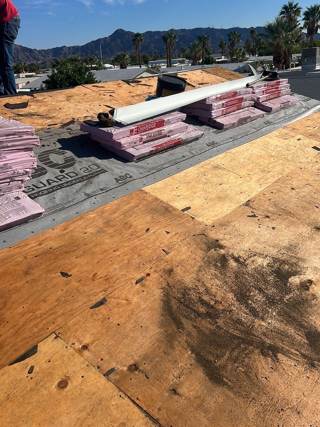 Silver Birch Shingles by Reimagine Roofing