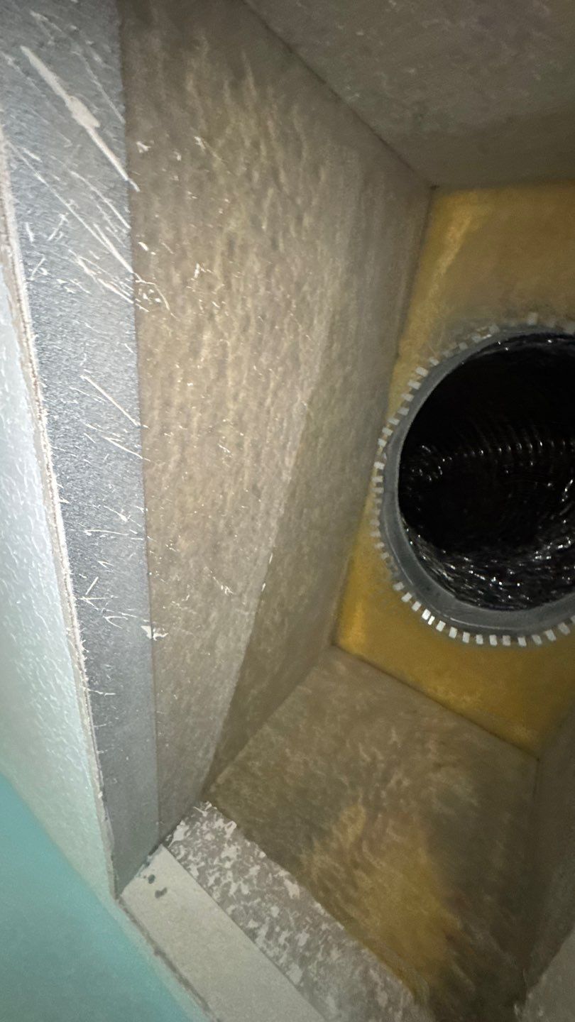 Air Duct Cleaning in Clermont by Hygienic Air, Inc