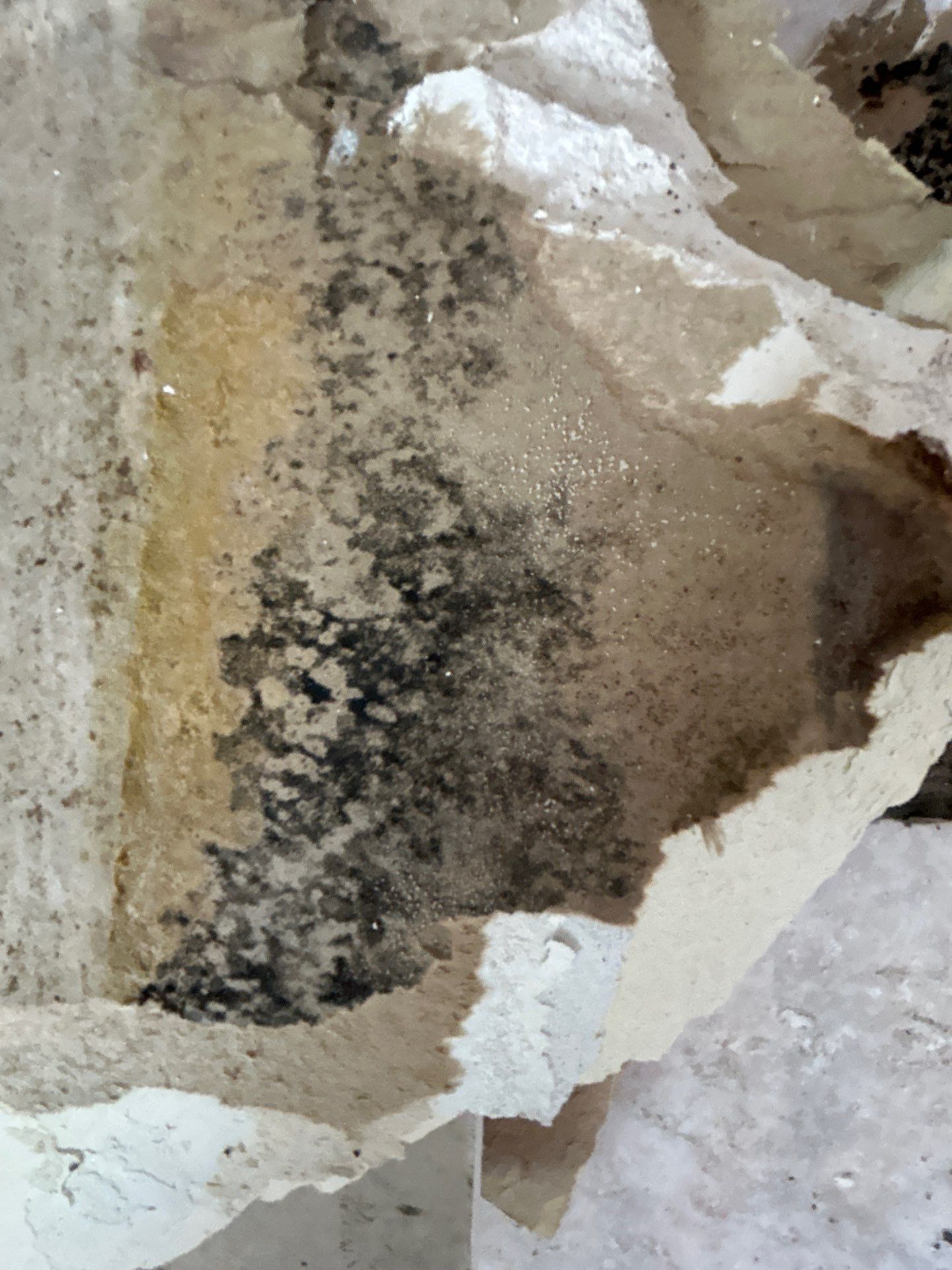 Water And Mold Restoration by Ampm Restoration Services