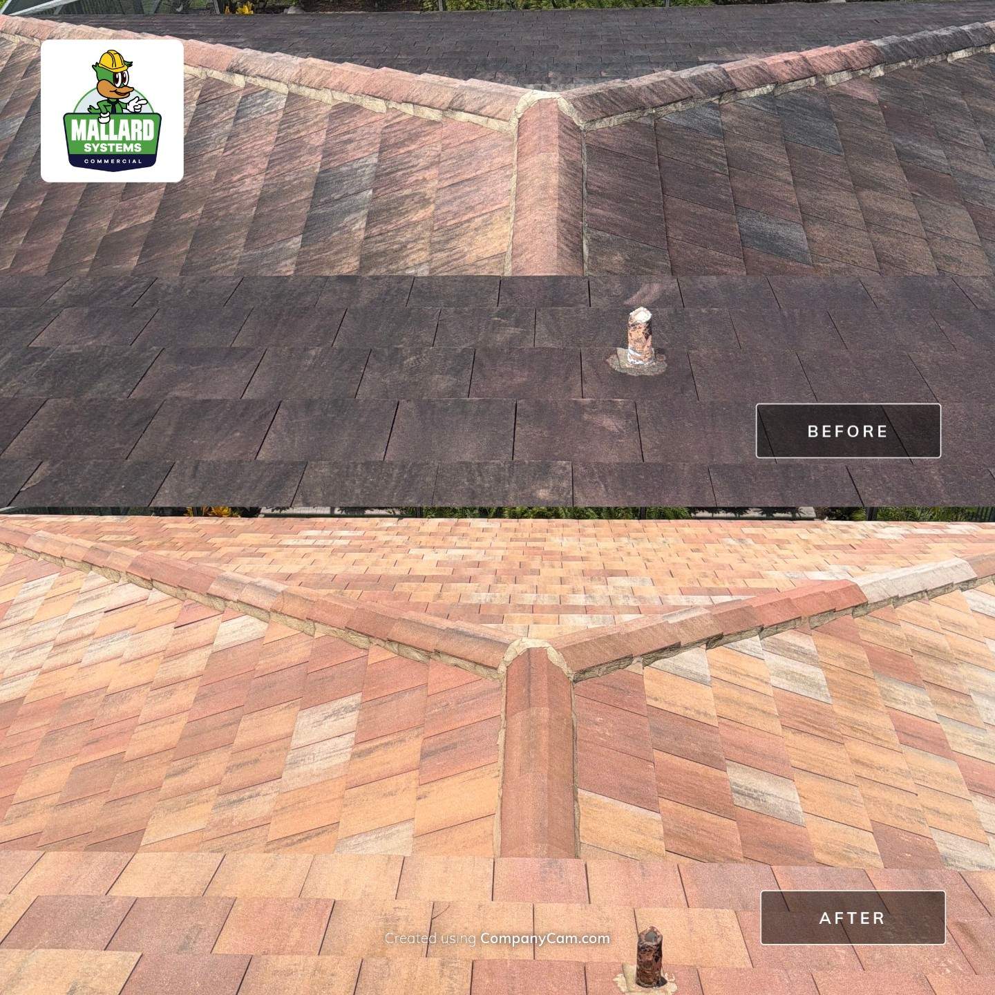 Residential Tile Roof Cleaning in Orlando by Mallard Systems
