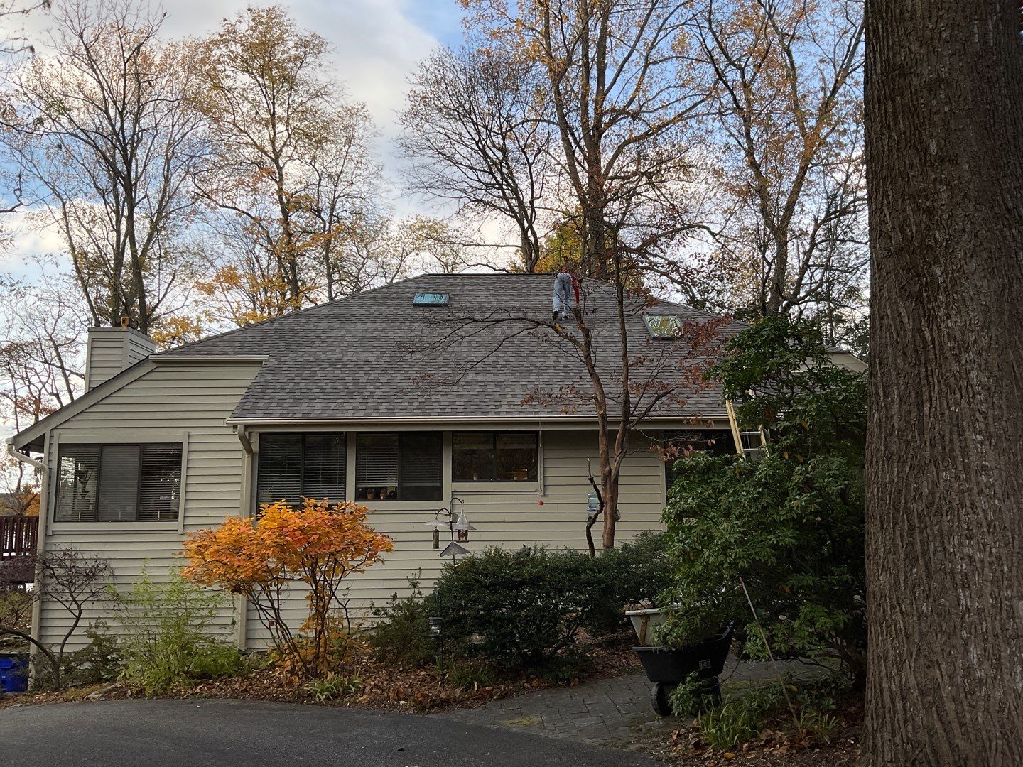 Install new shingles and new skylights  by Alpha Design Services