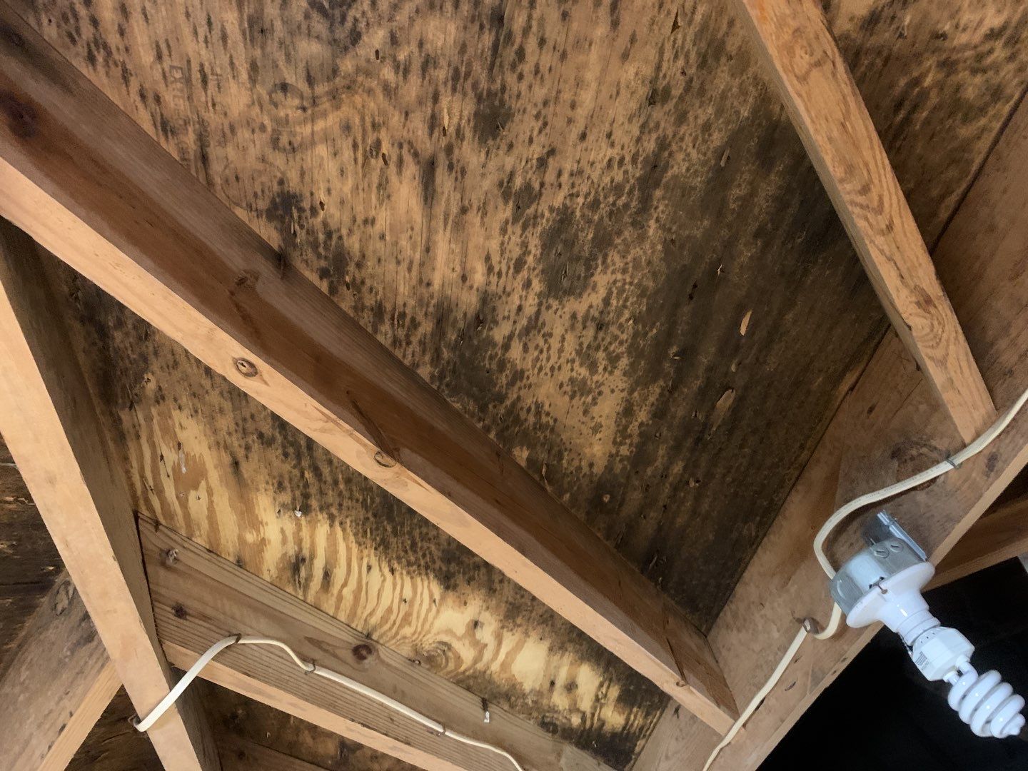 Roof Replace by American Roofing NC